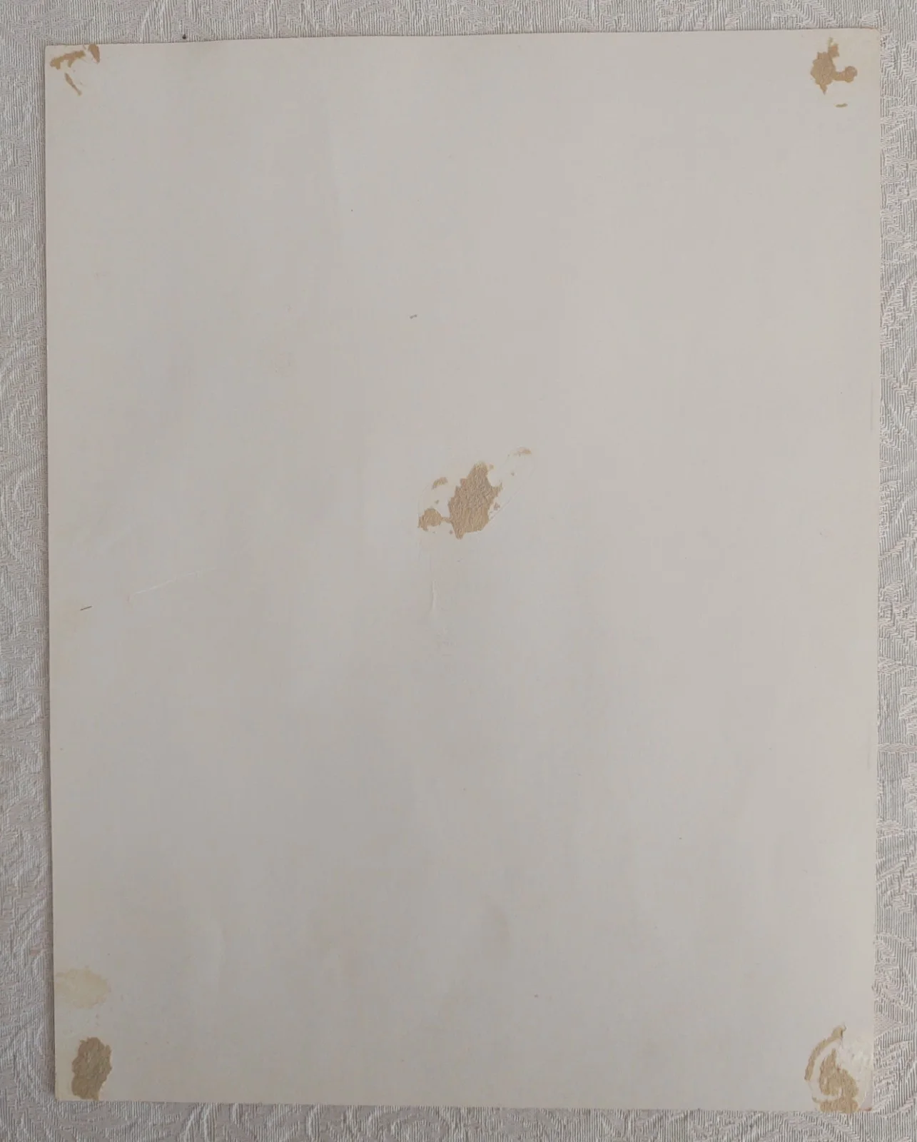 Montie Montana — Rare Signed Montie Montana Trick Horse (REX) Rider B&W Photo Butternut Bread, изображение 3
