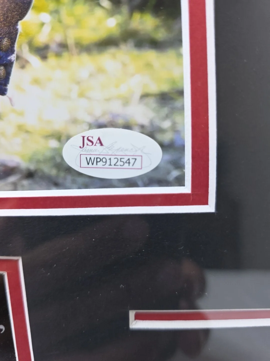 Gaten Matarazzo — Stranger Things Gaten Matarazzo Signed 8x10 Photo Framed JSA Authentication, image 4