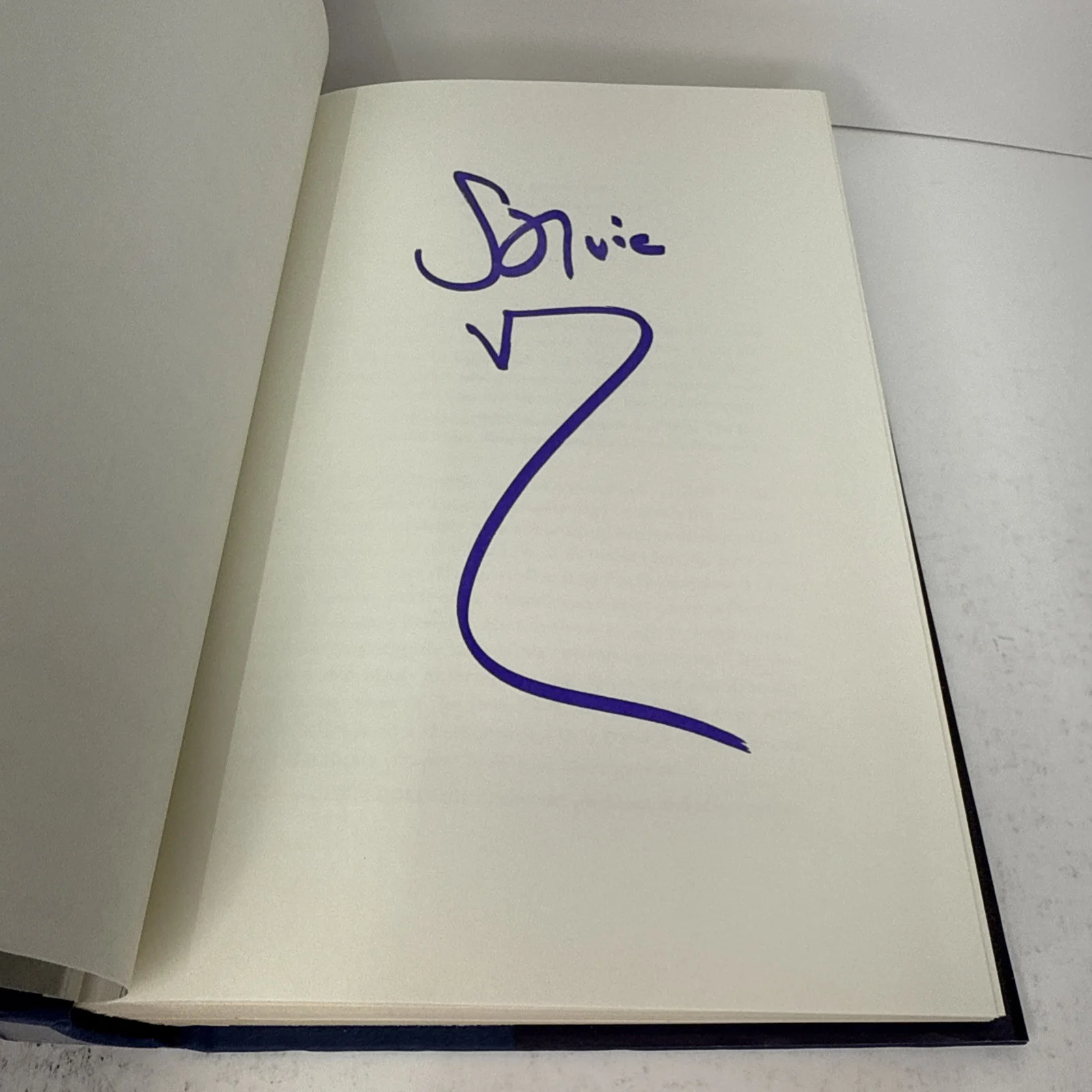 AUTOGRAPHED Unrequited Infatuations by Stevie Van Zandt Hand Signed - 1st Ed., изображение 5