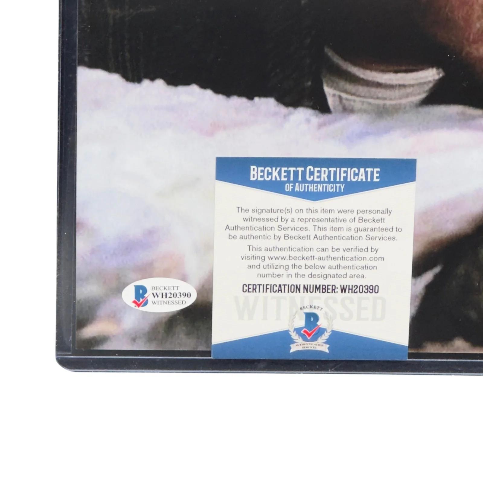 Daniel Stern — Daniel Stern Signed Marv Home Alone 11x14 Photo Autograph Beckett BAS COA, изображение 3