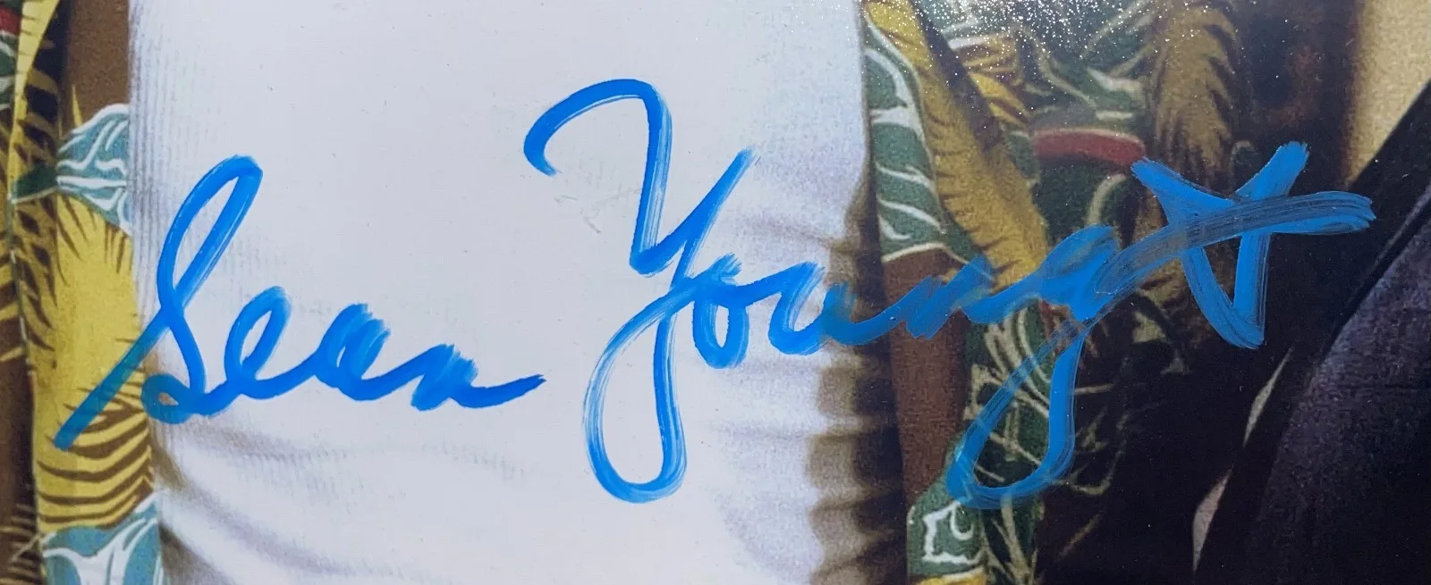 Sean Young — Sean Young Autographed Framed. Ace Ventura Picture 16"Long Cert., изображение 3