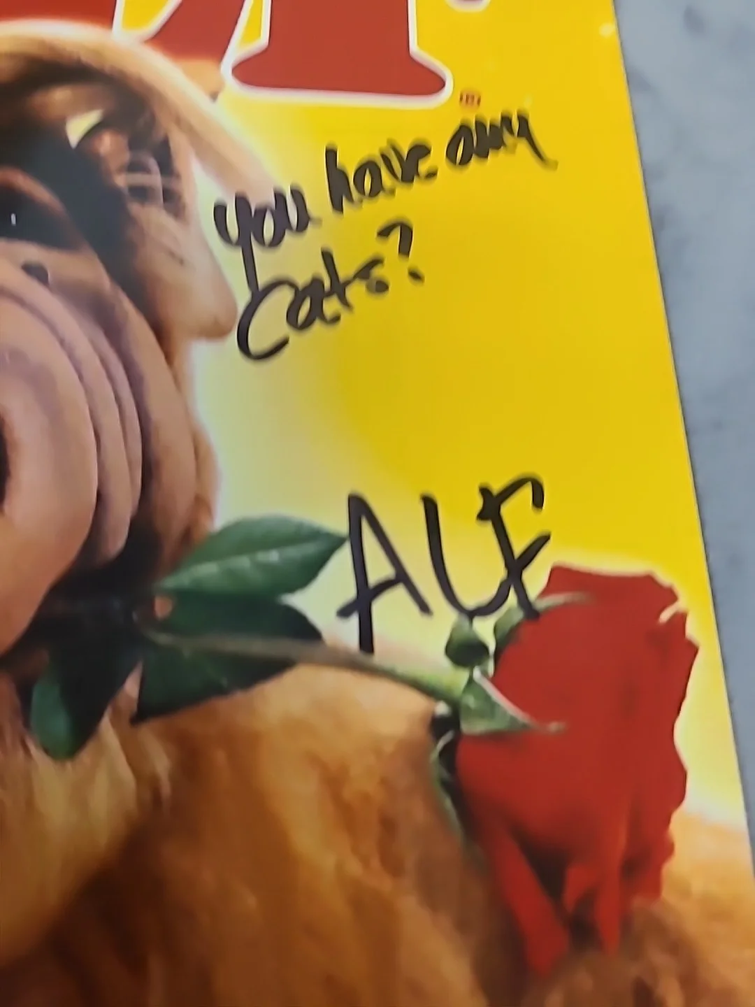 Paul Fusco Signed 8" X 10" Photo Alf & You Have Any Cats? & ALF Insc JSA, изображение 3