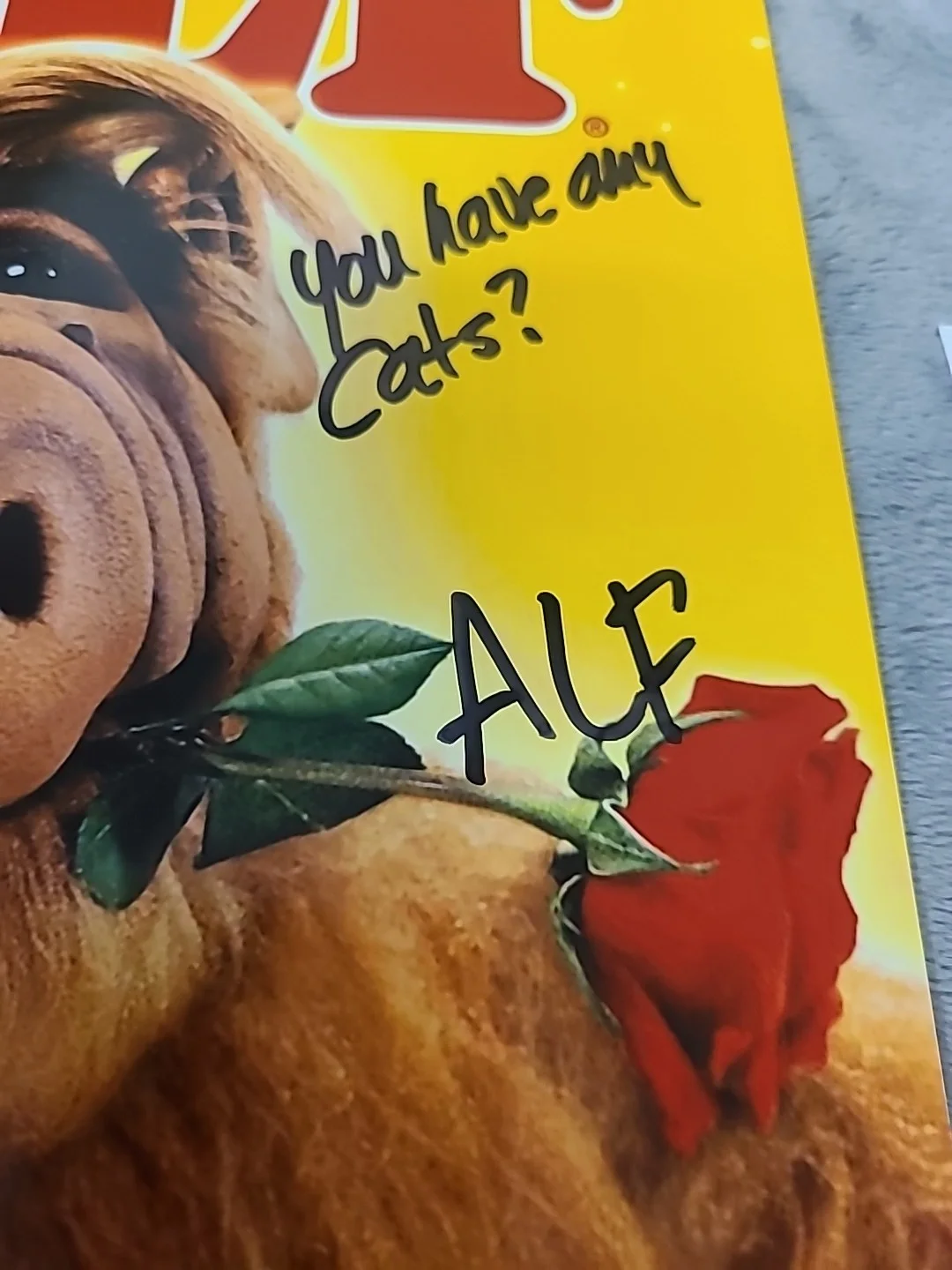 Paul Fusco Signed 8" X 10" Photo Alf & You Have Any Cats? & ALF Insc JSA, изображение 4