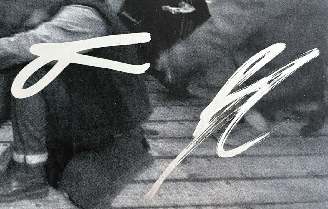 Mumford & Sons Complete Band Signed Autographed Rushmere Vinyl Album JSA COA!, изображение 5