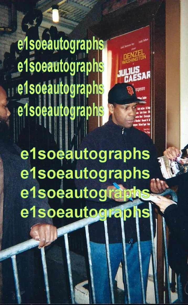 Denzel Washington, William Sadler, Tamara & Cast signed Julius Caesar Playbill, image 3
