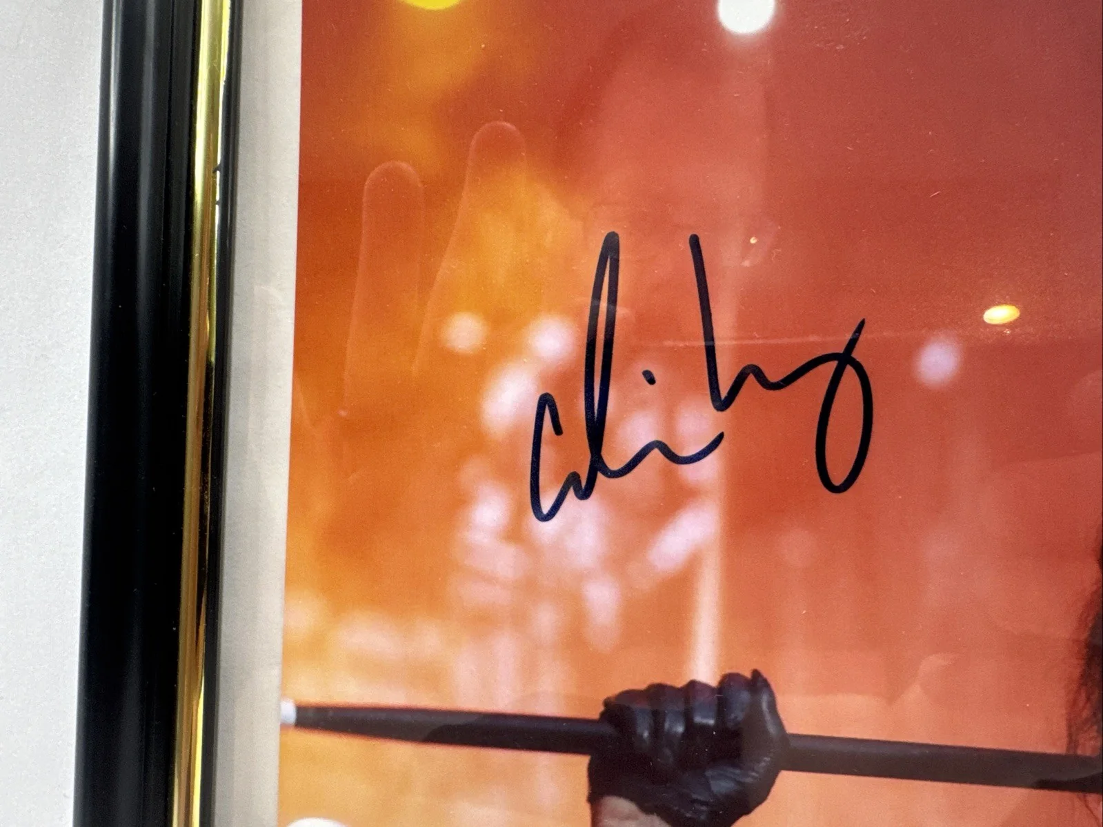 Rock Music Legend Alice Cooper Signed Autographed 8x10 Photo, изображение 2