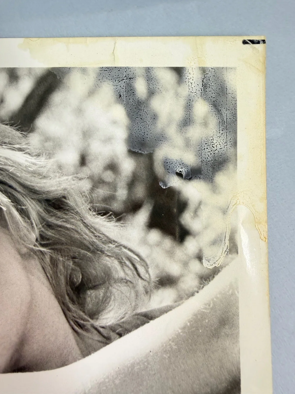 Tanya Roberts — TANYA ROBERTS Signed 8x9 Vintage Photo Authentic Autograph «Shena 1984”, image 3