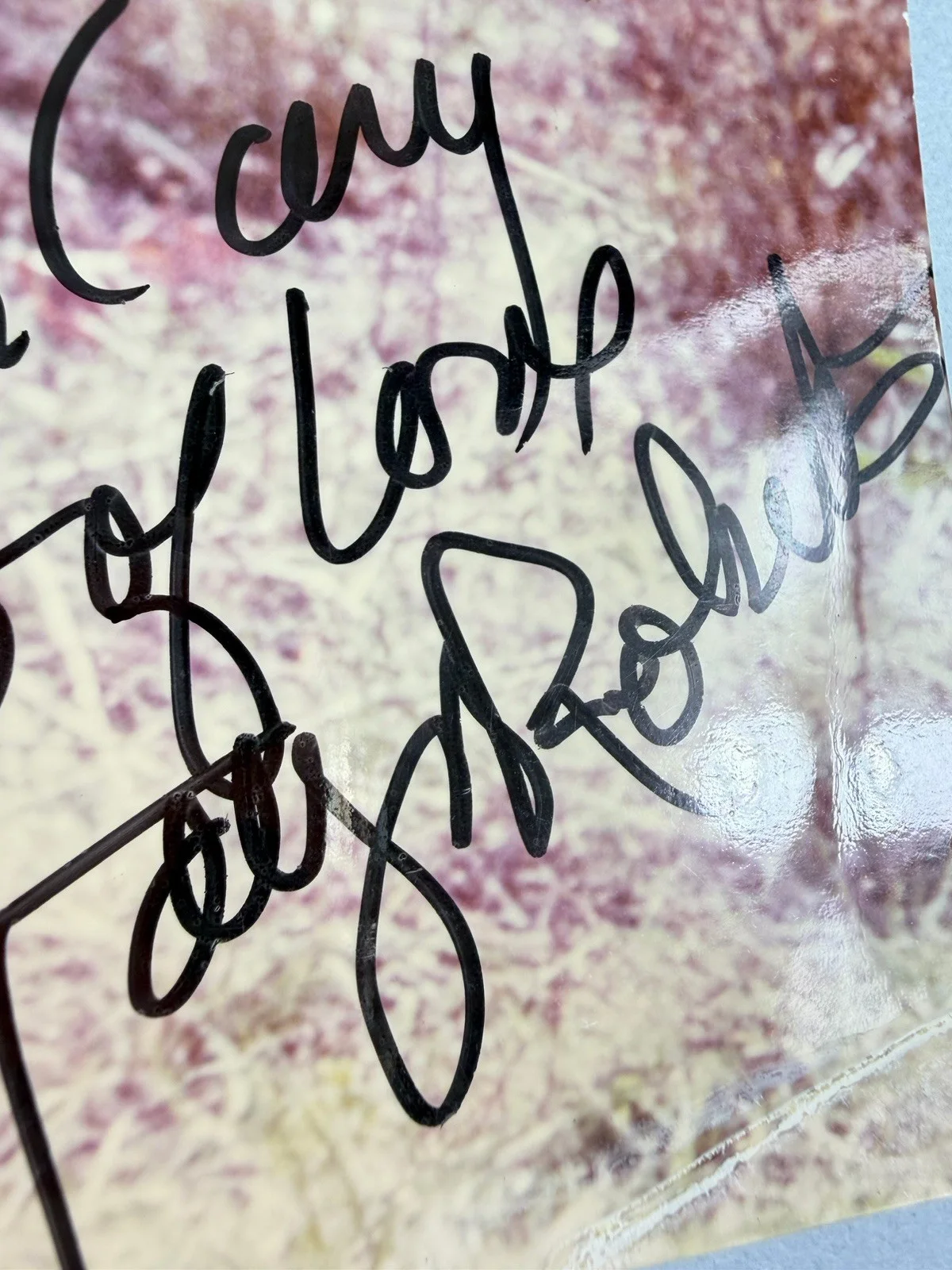 Tanya Roberts — TANYA ROBERTS Signed 7x10 Vintage Photo Authentic Autograph «Shena 1984”, изображение 4