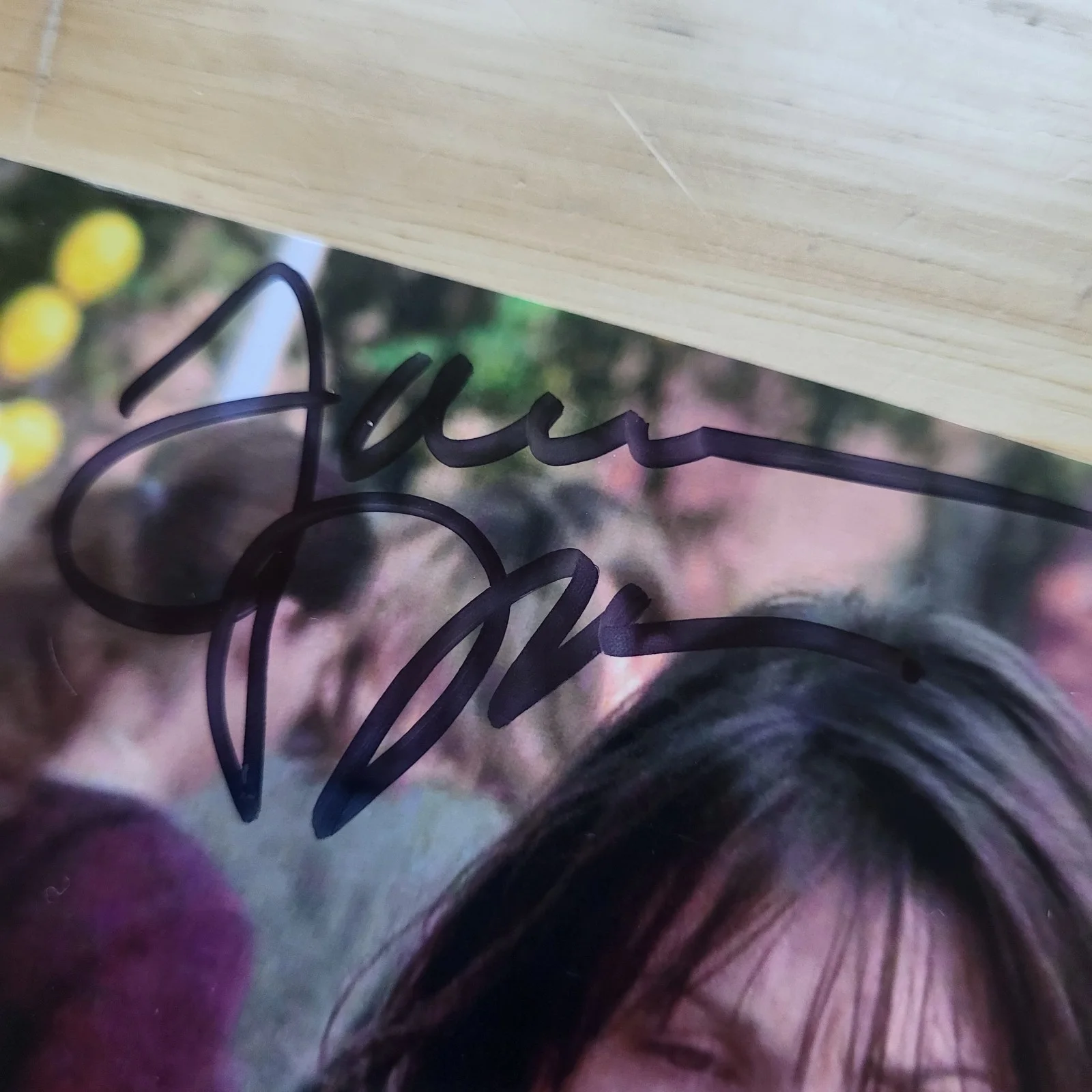 Illeana Douglas — illeana Douglas Stir Of Echos Seinfeld Hand Signed 4x6 Autograph, изображение 2