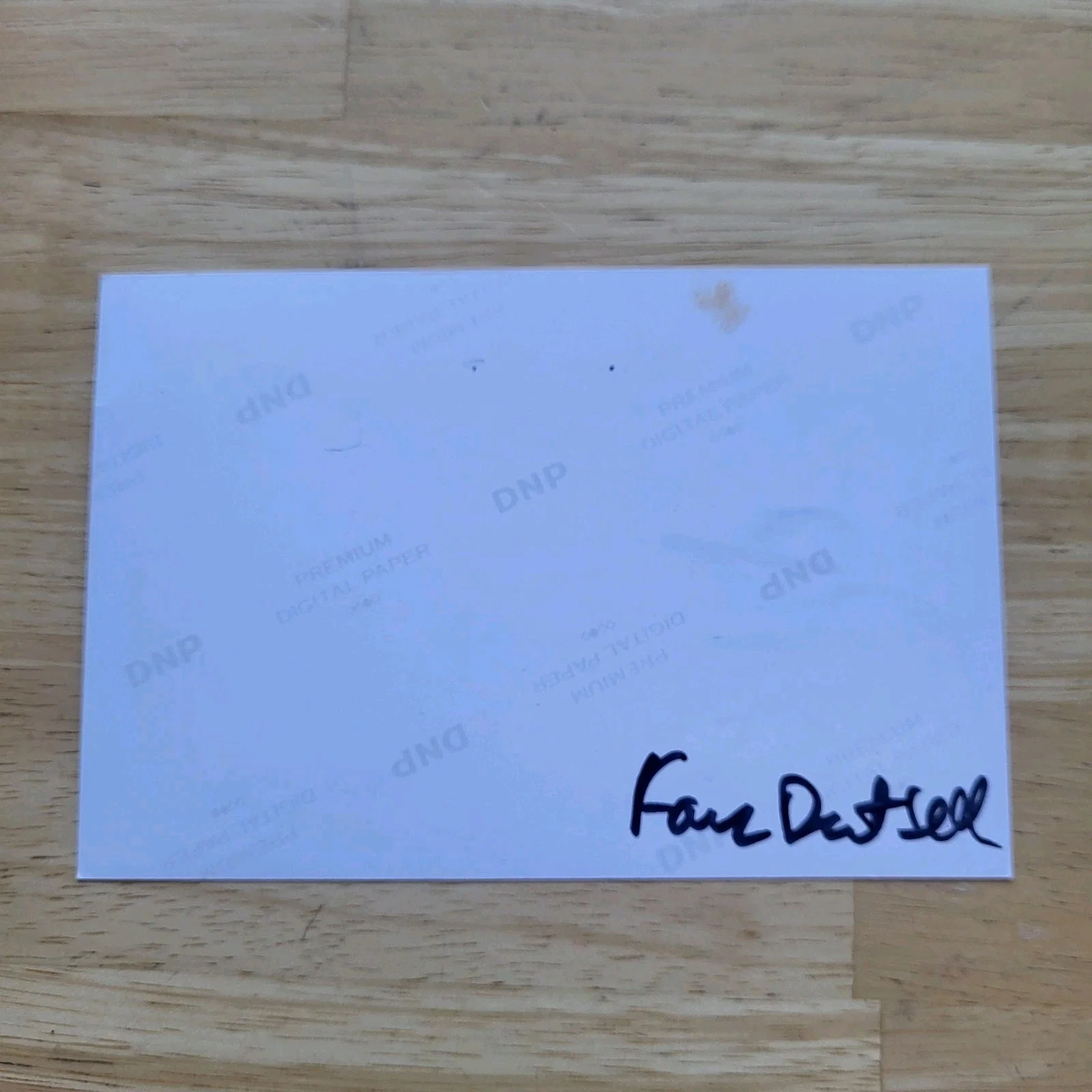 Illeana Douglas — illeana Douglas Stir Of Echos Seinfeld Hand Signed 4x6 Autograph, изображение 4