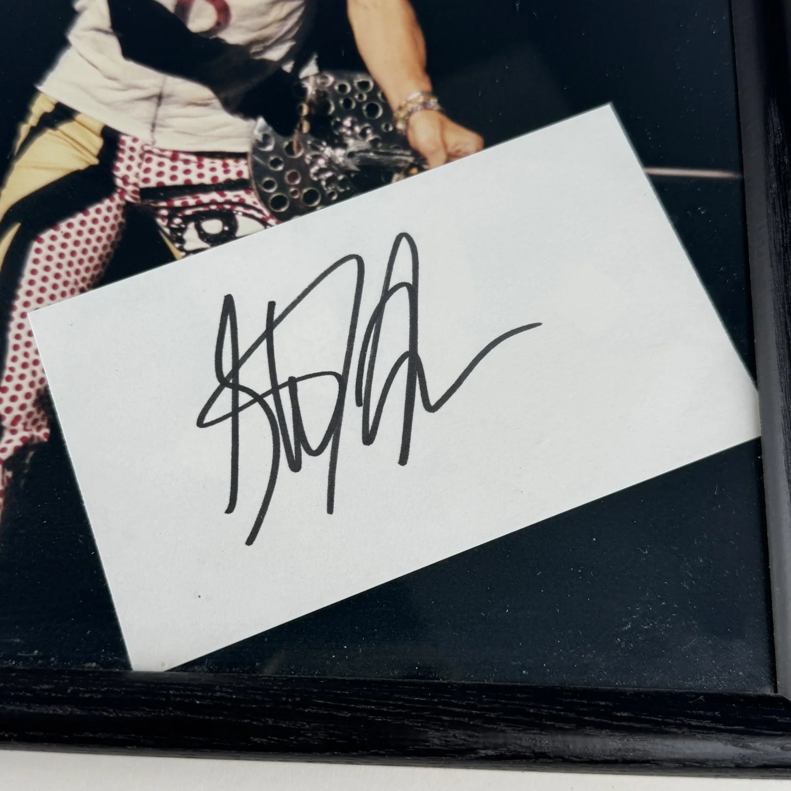 Steven Tyler Aerosmith Autograph Signed Index Card With 8x10 Photo Includes COA, изображение 2