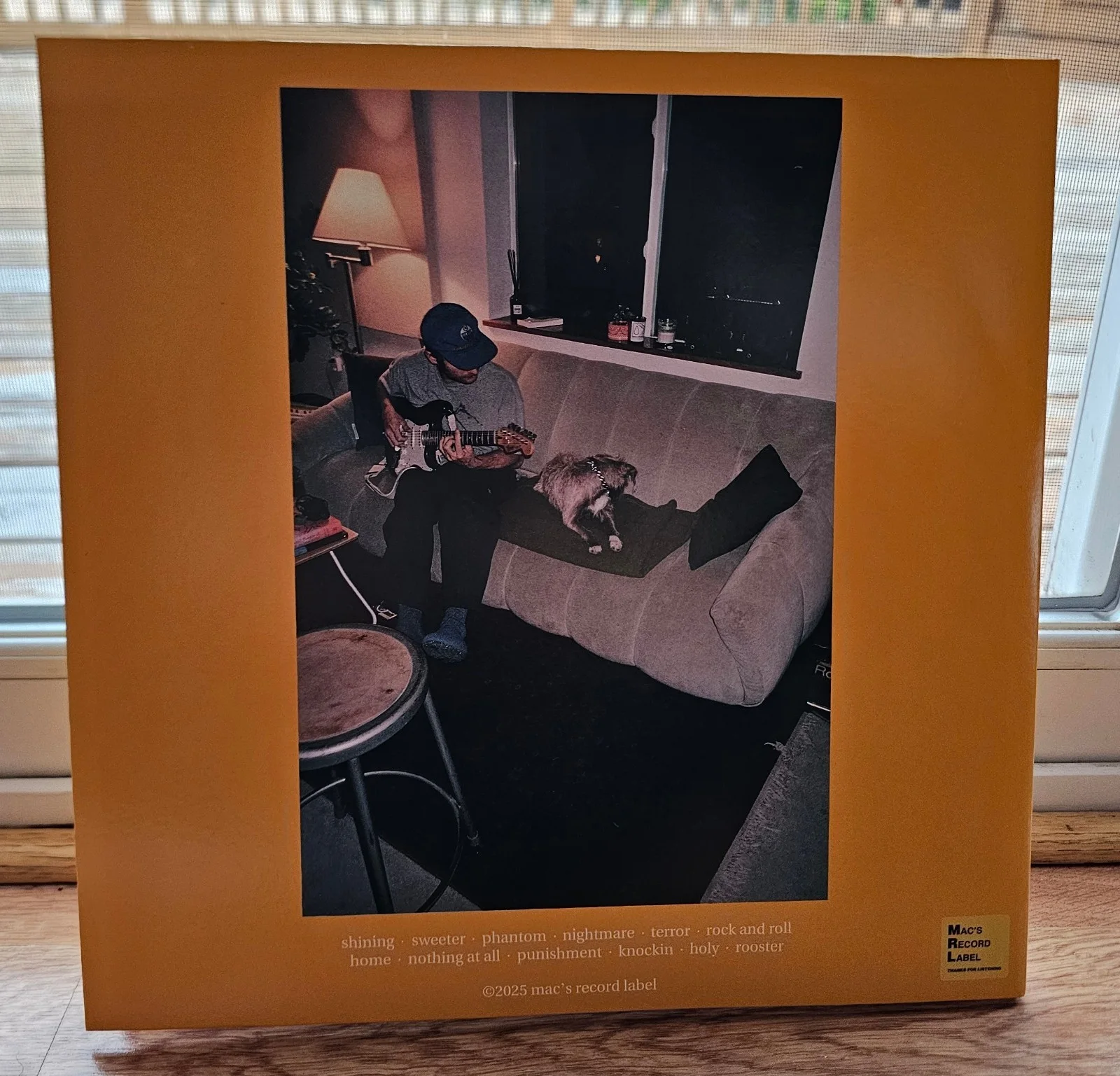 Mac DeMarco SIGNED Autograph Guitar Vinyl Record! RARE!, image 3