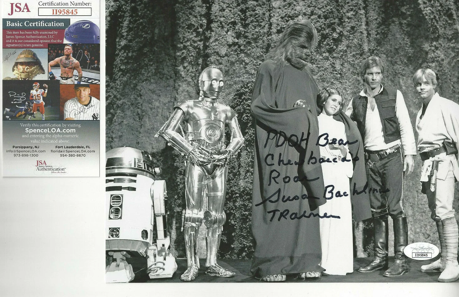Bear Trainer voice of Chewbacca — Star Wars Chewbaca autographed 8x10 bw photo by trainer of Bear Voice JAWS JSA