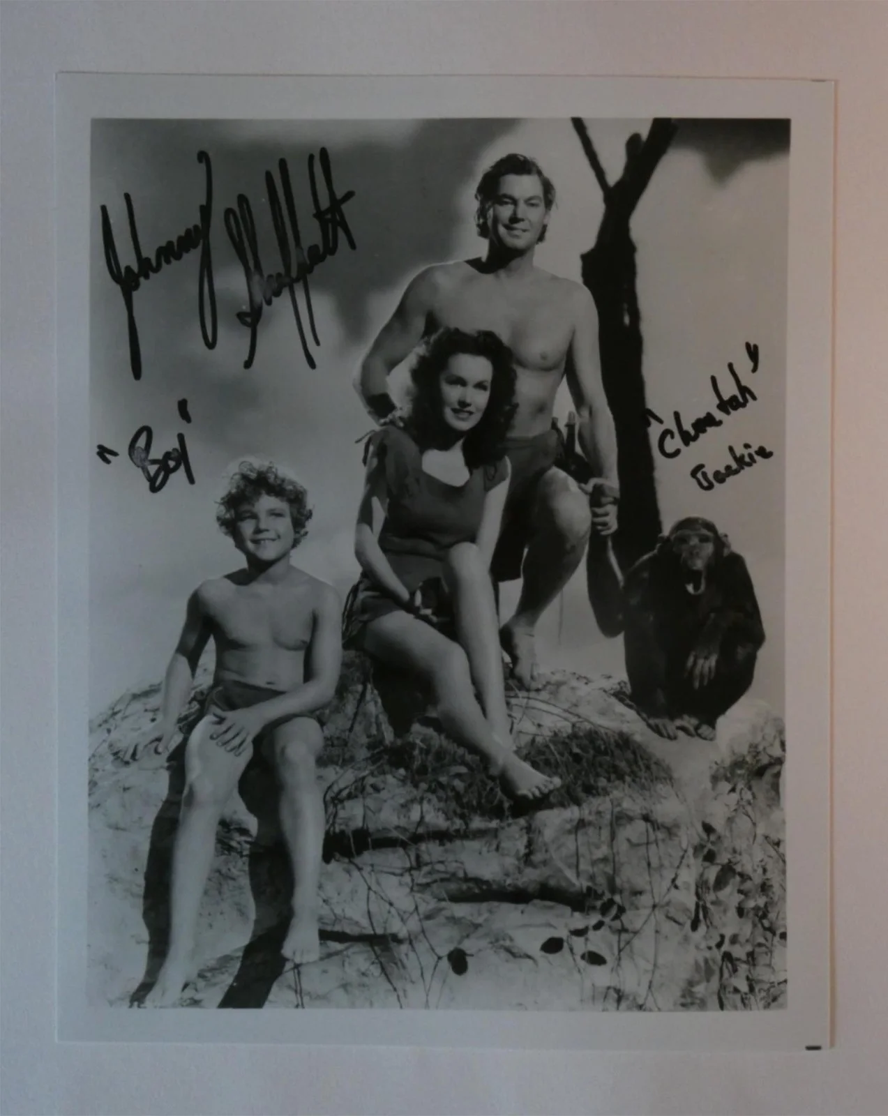 Johnny Sheffield — Johnny Sheffield Signed 8x10 B&W Photo Autographed Boy Tarzan Film Series