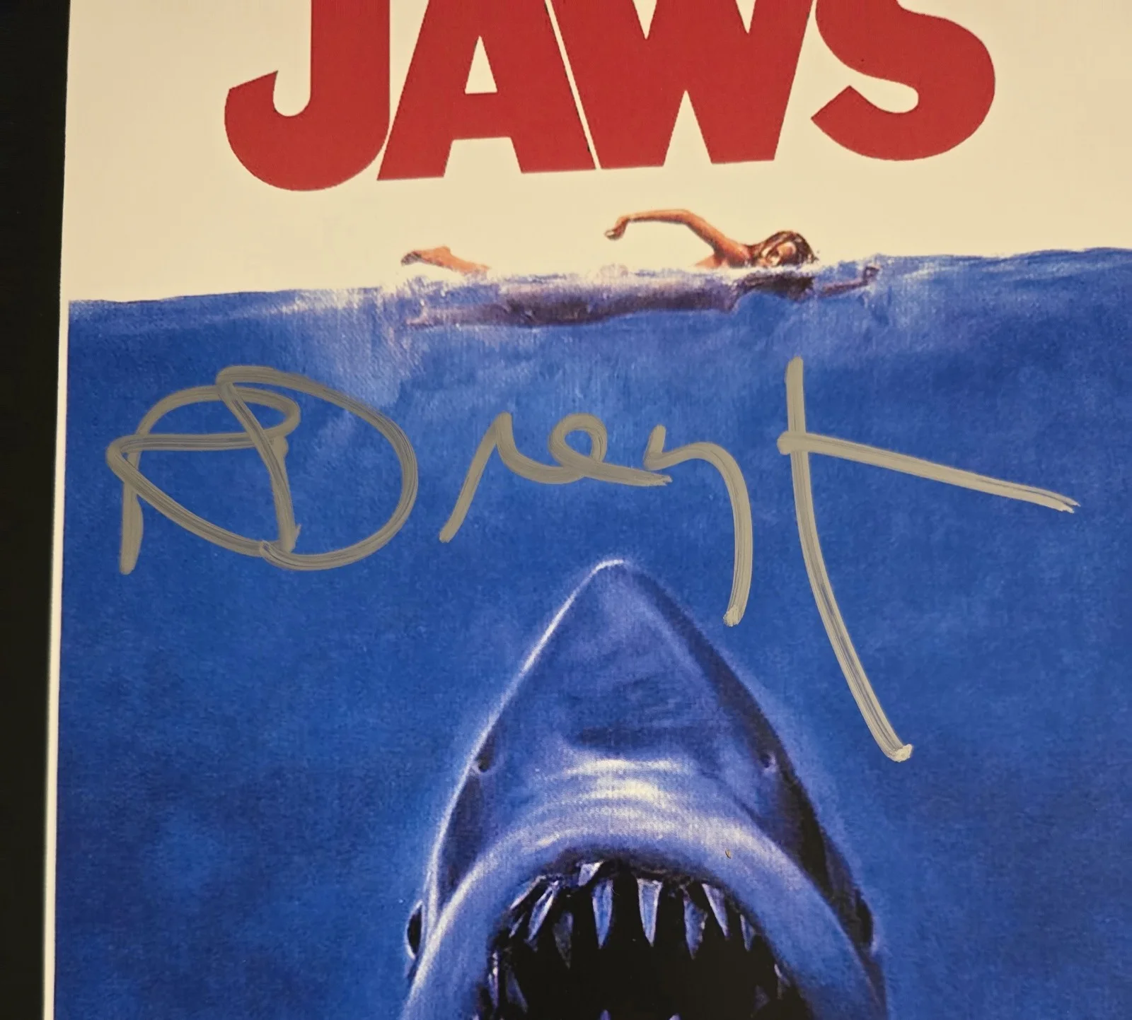 Richard Dreyfuss — Richard Dreyfuss Signed 11X17 Jaws Beckett, image 2