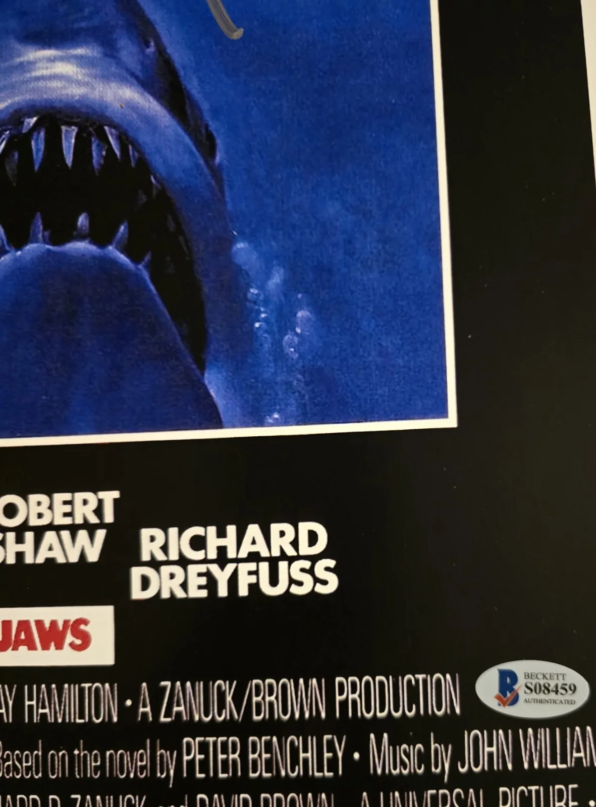 Richard Dreyfuss — Richard Dreyfuss Signed 11X17 Jaws Beckett, image 3