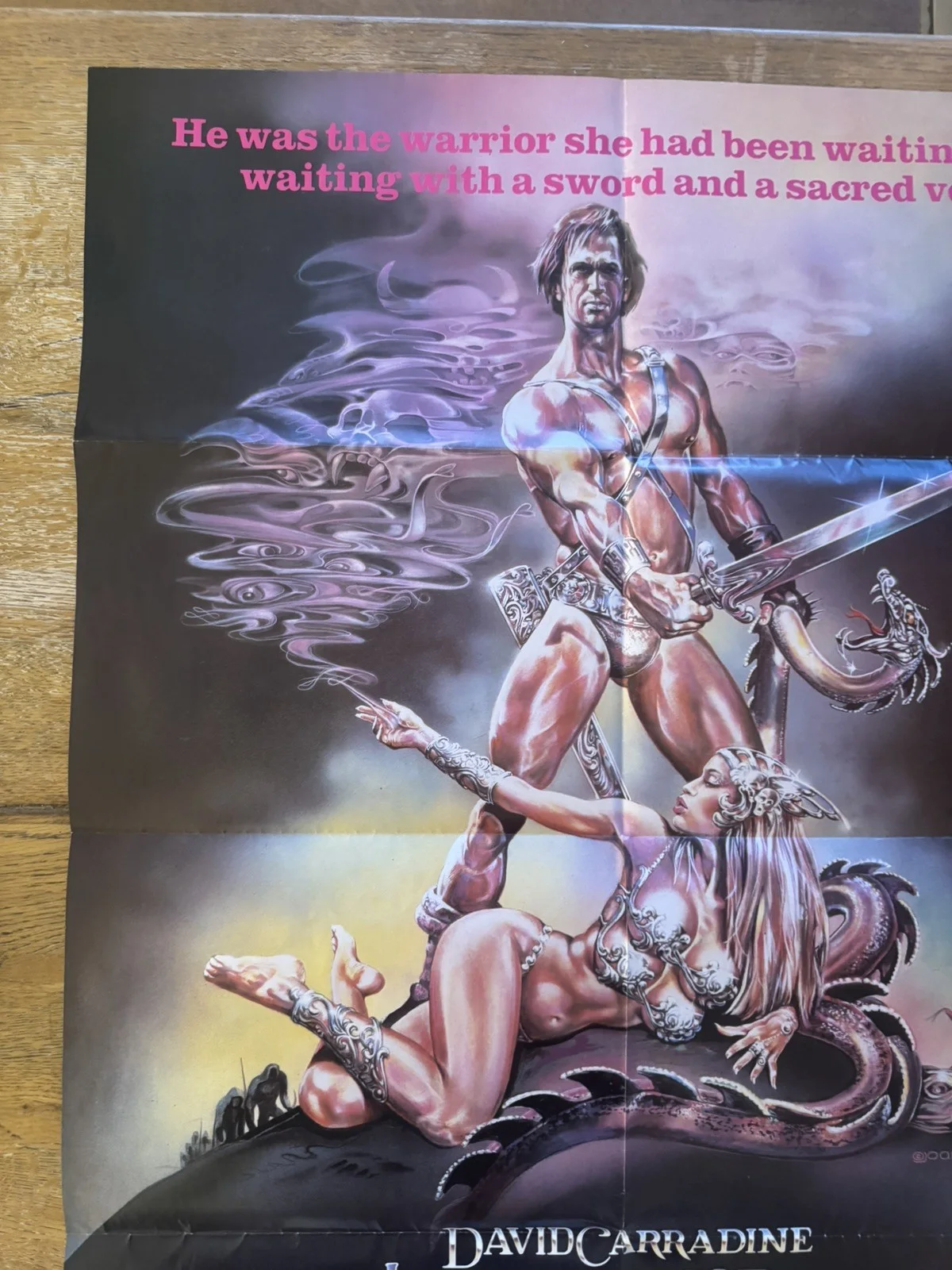 The warrior and the sorceress rare Original Video Shop VHS Poster 1984, изображение 3