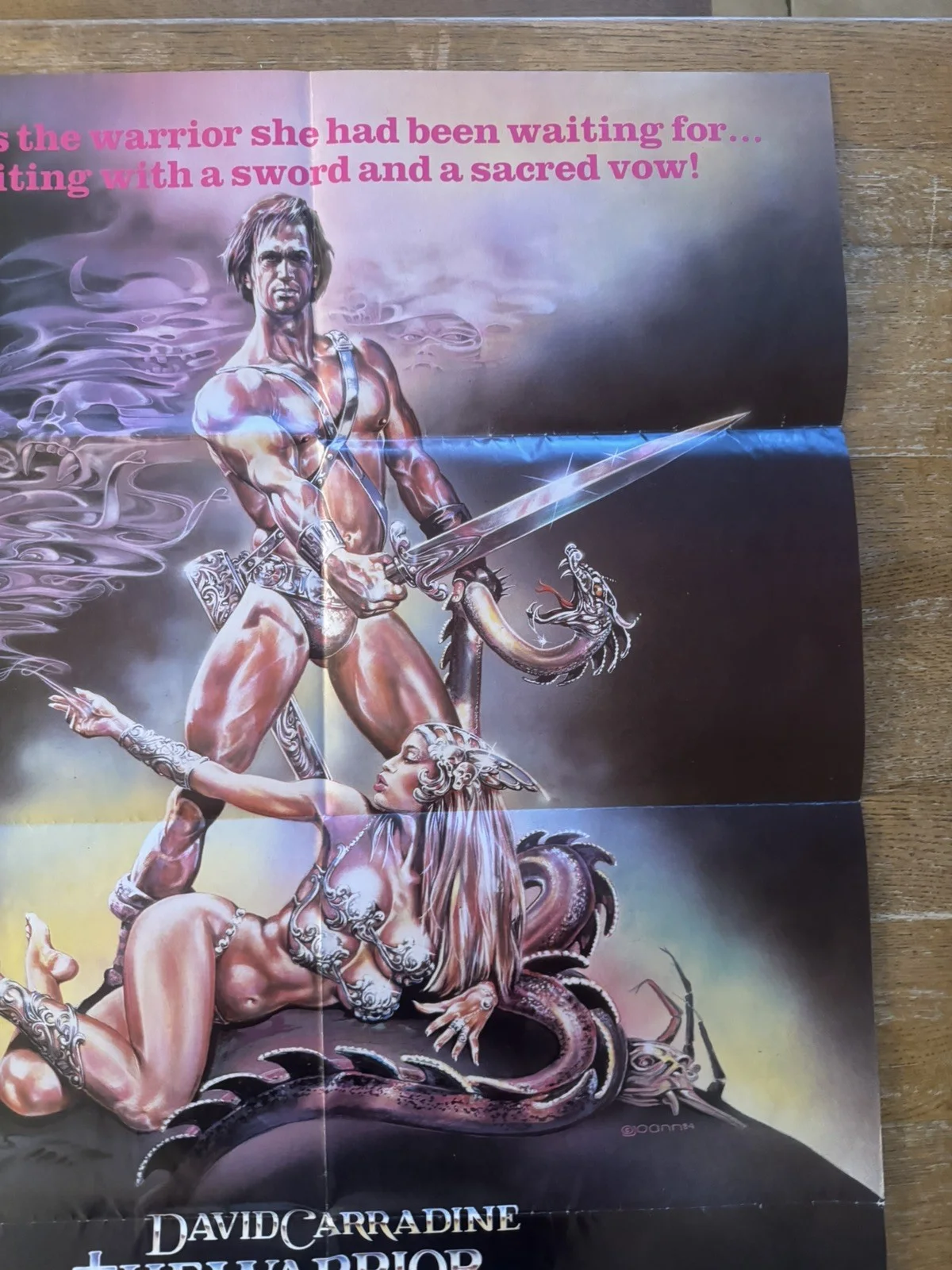The warrior and the sorceress rare Original Video Shop VHS Poster 1984, изображение 4