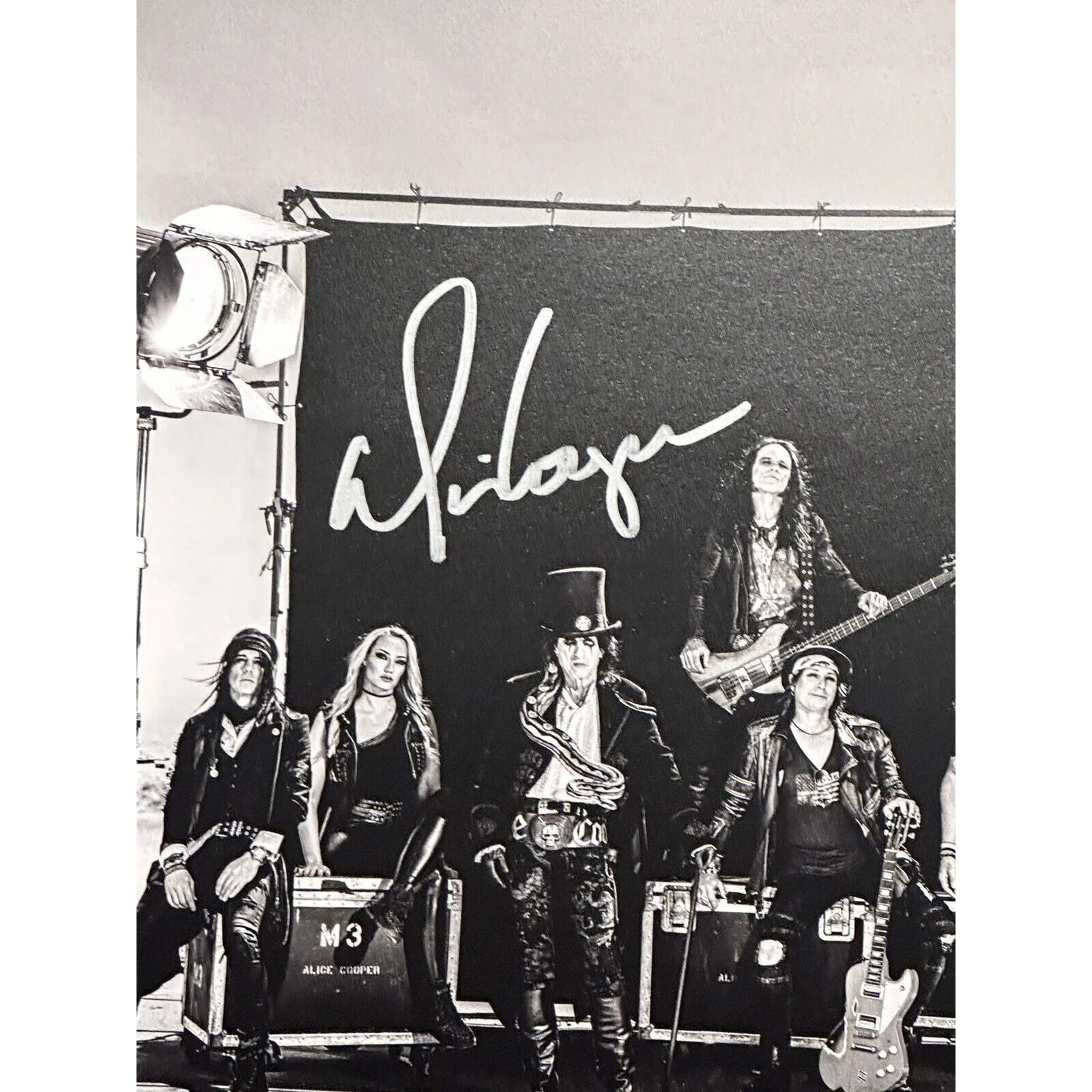 ALICE COOPER SIGNED "ROAD" 2 LP 180 GRAM VINYL DVD SET COA Autograph Insert ACOA, image 4