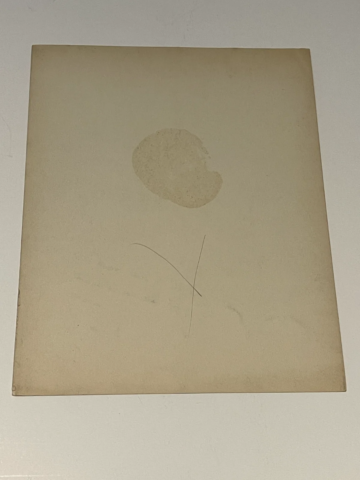 EVA ROSITA — EVA ROSITA SIGNED PHOTO, image 3