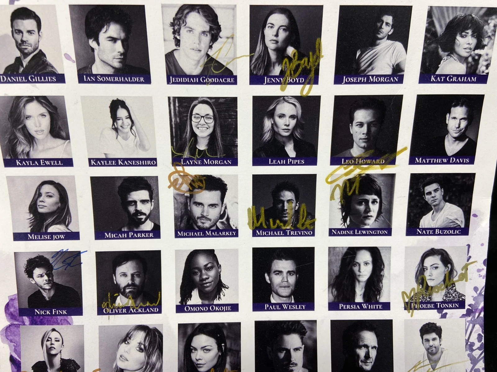 Multiple Actors — Epic June Wedding Guest Book Signed Cast Poster 11x17 Vampire Diaries, изображение 3