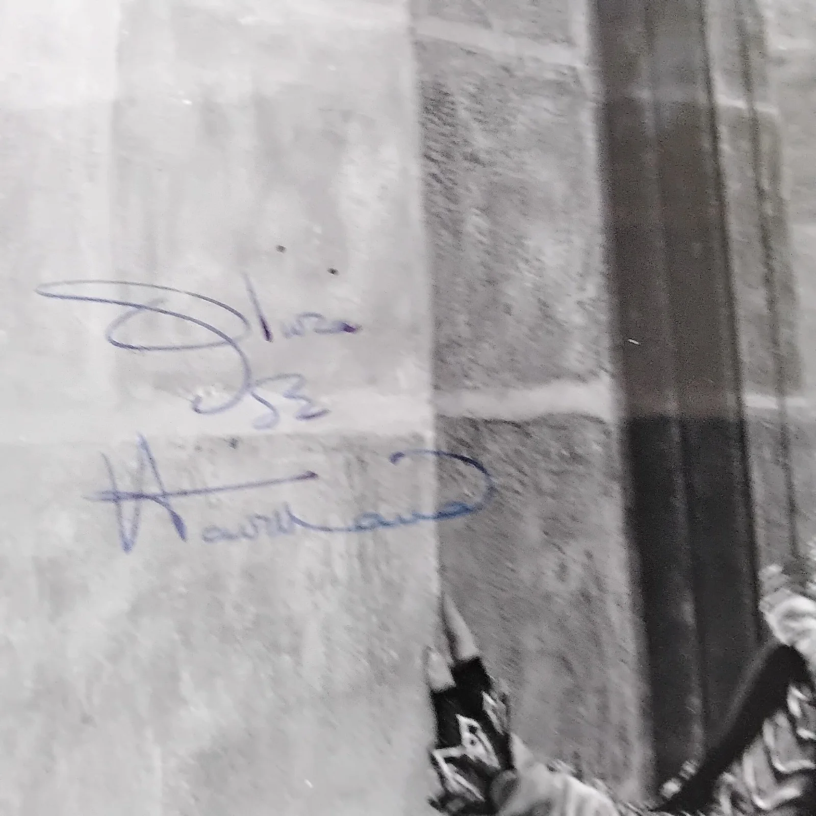 Olivia de Havilland Signed Photo 30s Movie Actress Robin Hood GWTW The Heiress, изображение 5