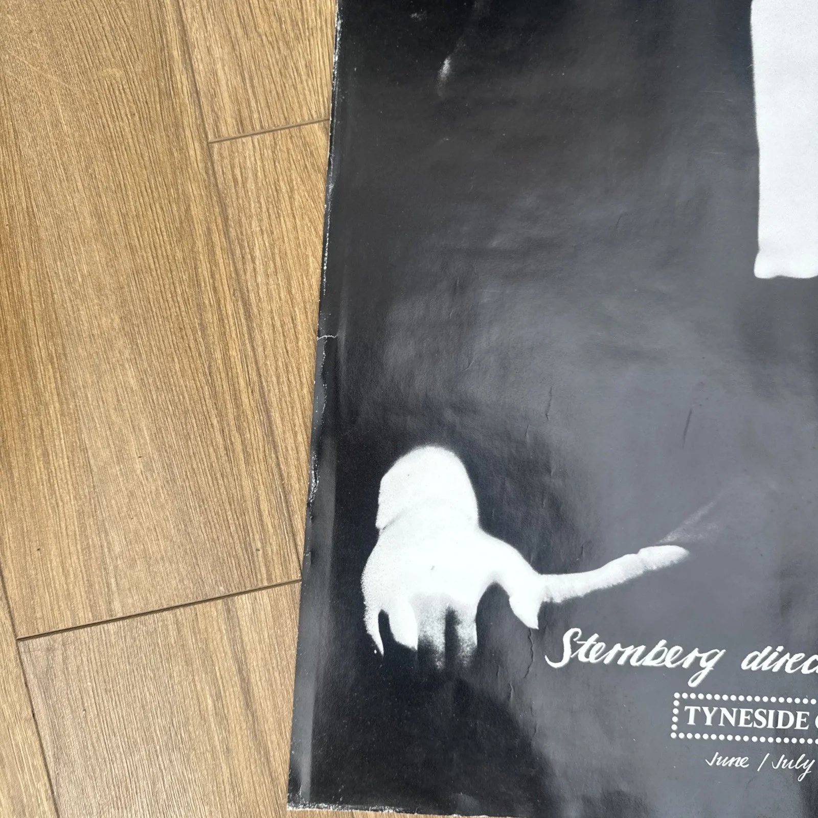 1981 Cinema Advert Tyneside Cinema Sternberg directs Dietrich, изображение 4