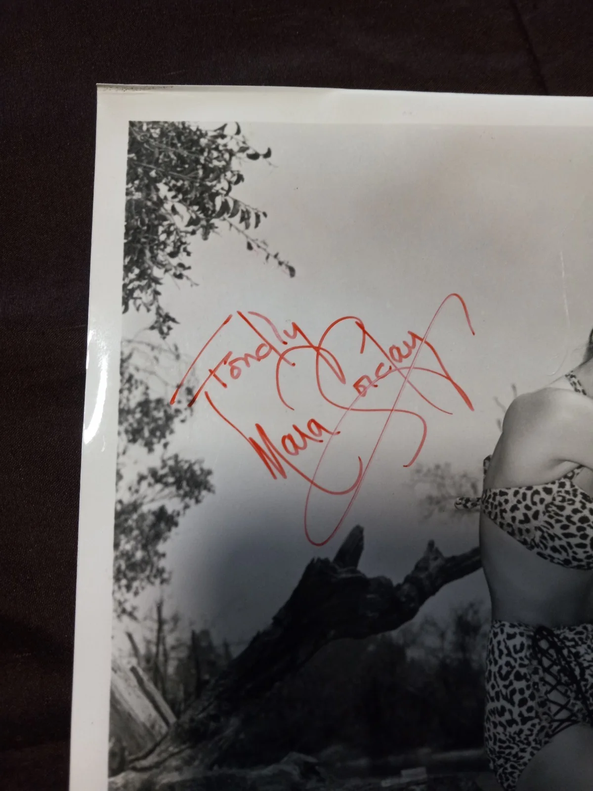 Mara Corday 8x10 Autographed photo, image 2