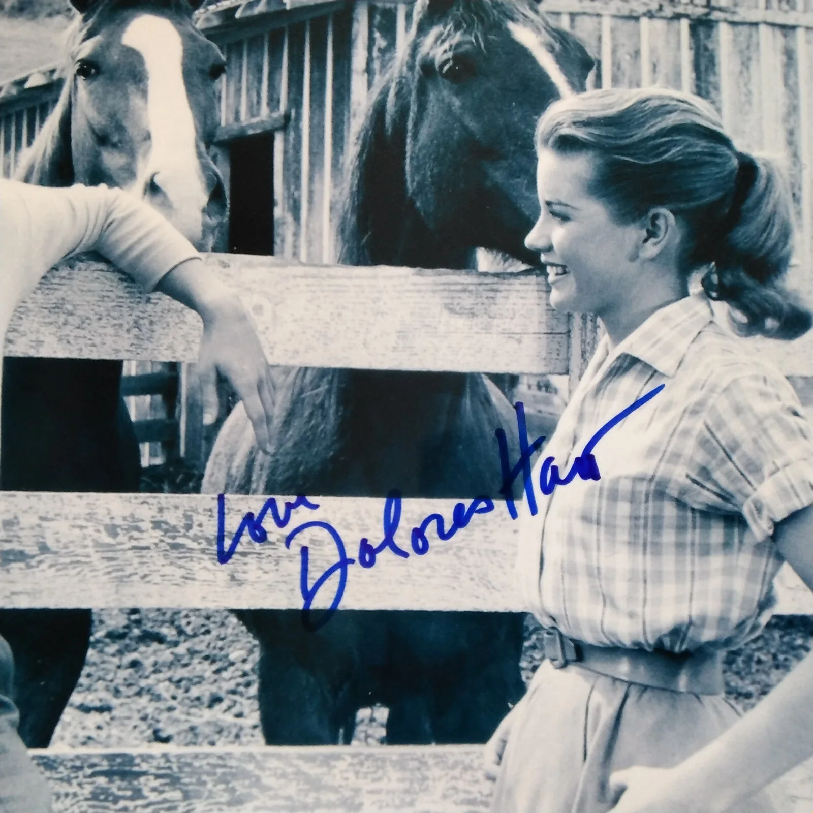Dolores Hart SIGNED Photo 60s Movie Actress Loving You Elvis Presley Where Boys, изображение 2