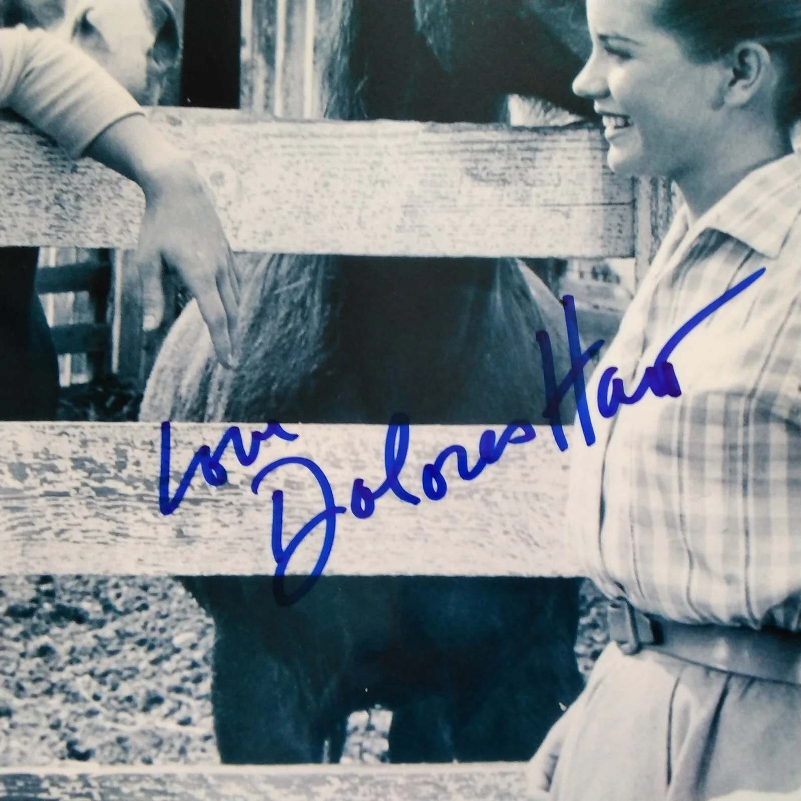 Dolores Hart SIGNED Photo 60s Movie Actress Loving You Elvis Presley Where Boys, изображение 3