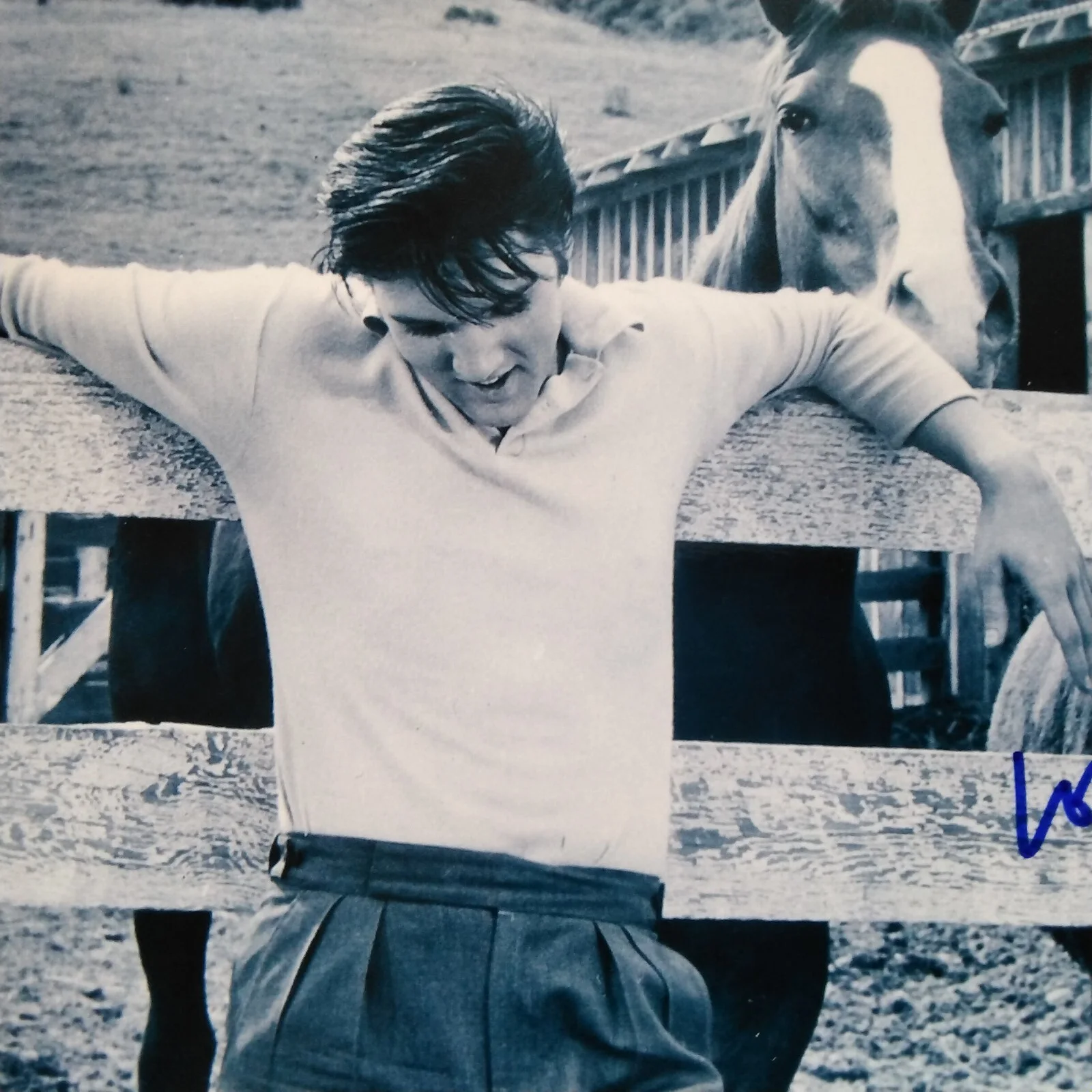 Dolores Hart SIGNED Photo 60s Movie Actress Loving You Elvis Presley Where Boys, изображение 4