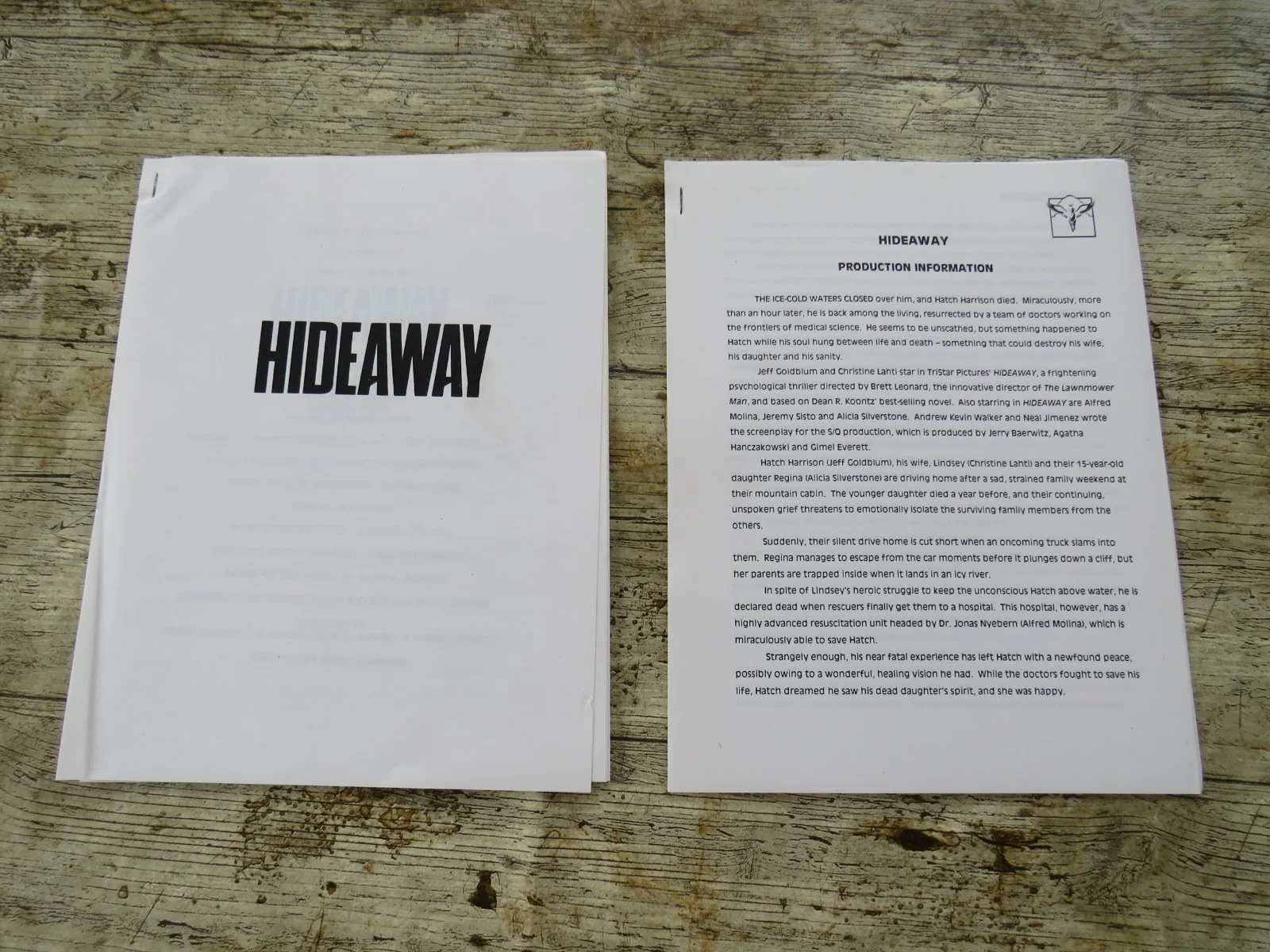 HIDEAWAY ORIGINAL 1995 CINEMA MOVIE FILM PRESS KIT Jeff Goldblum 6 PHOTOS 90's, изображение 3