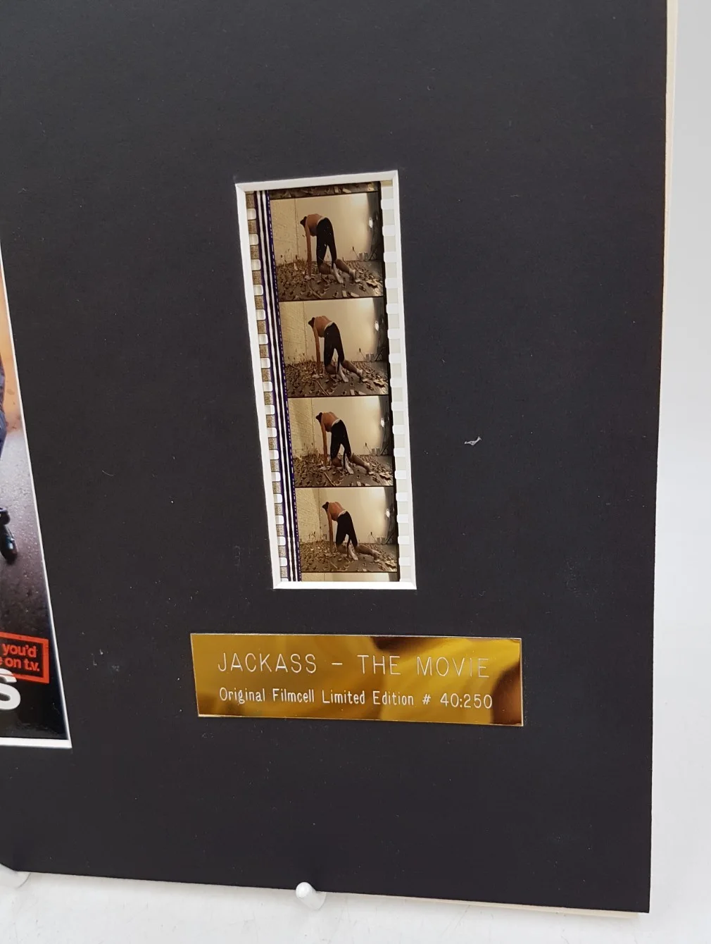 Jackass The Movie Original Film Cell Limited Edition #40:250 With Certificate, image 3