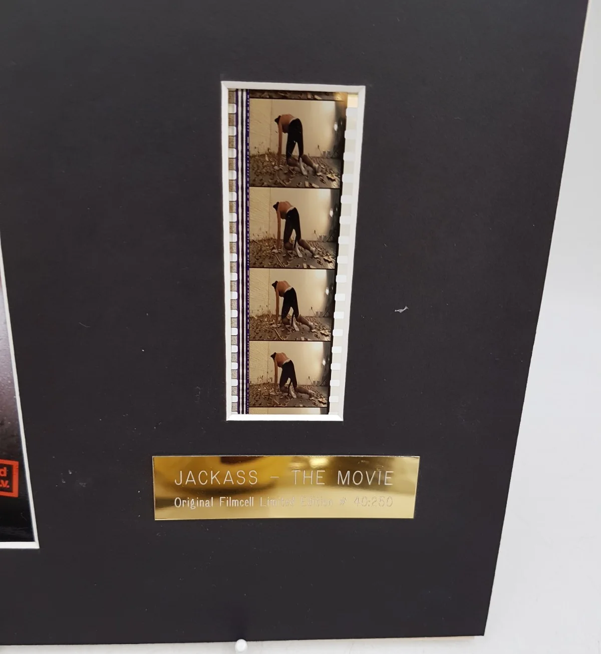 Jackass The Movie Original Film Cell Limited Edition #40:250 With Certificate, image 4