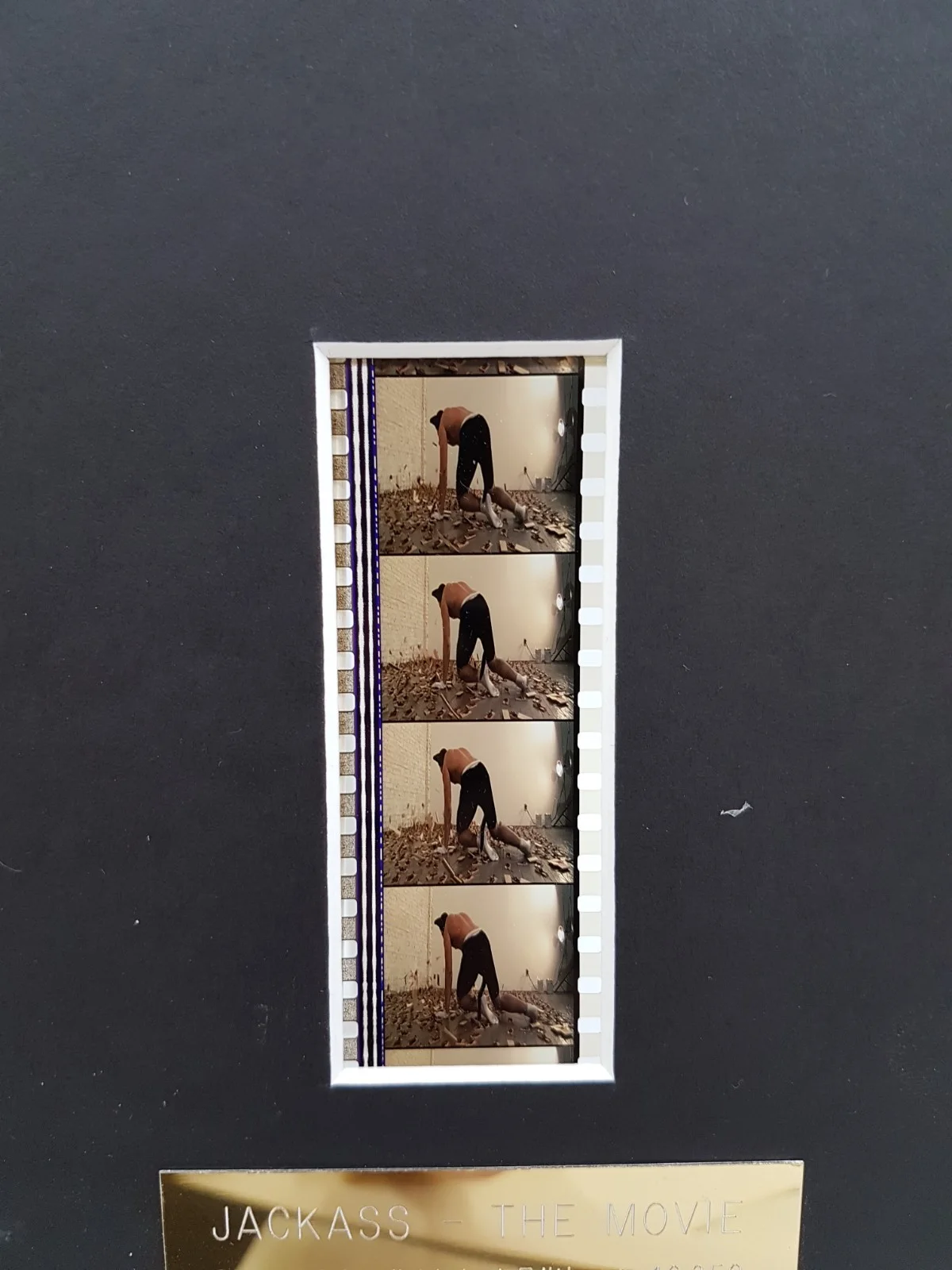 Jackass The Movie Original Film Cell Limited Edition #40:250 With Certificate, image 5