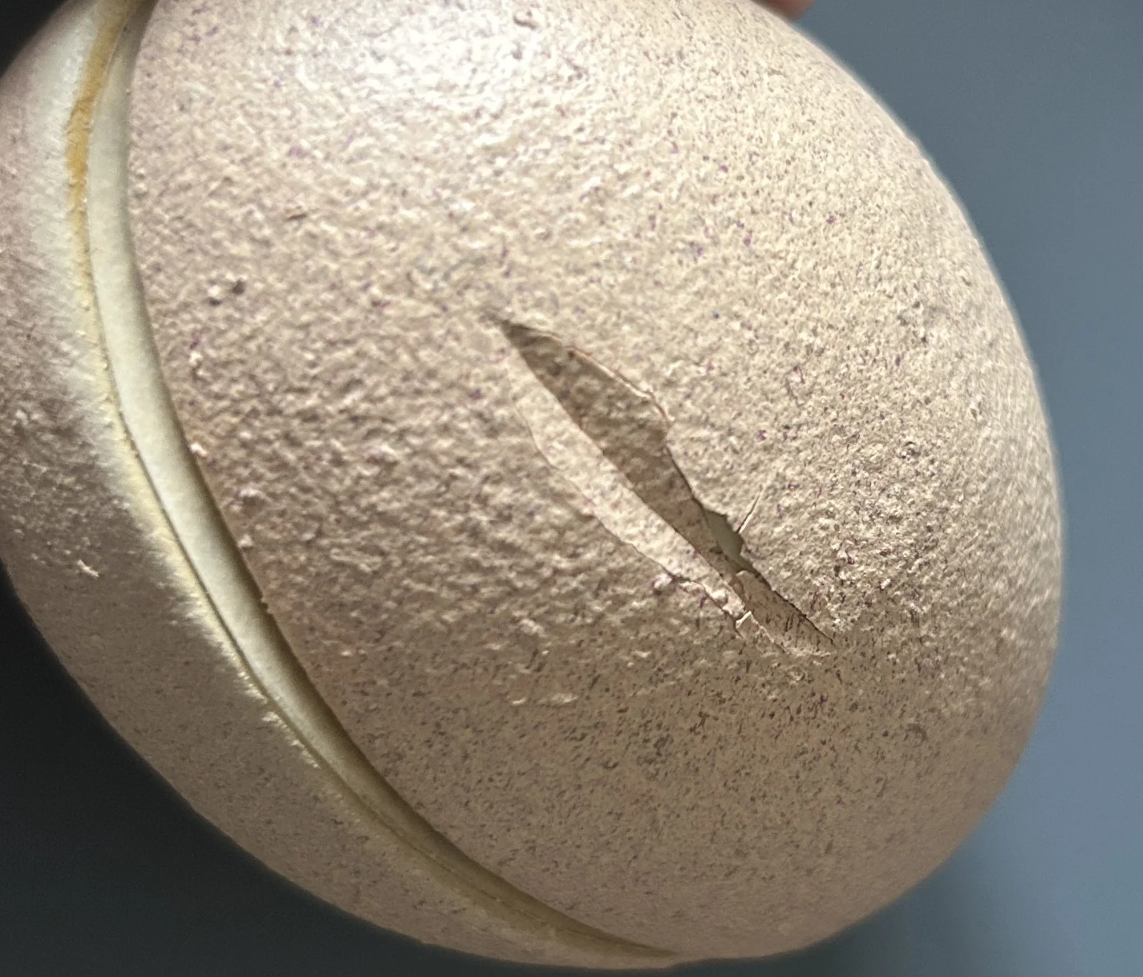 Film Props AEon Flux 4 Child Memory Eggs 2005 Sci-Fi Movie Production Used COA, изображение 3