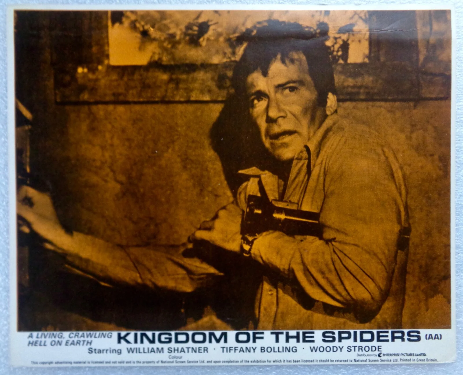 1977 KINGDOM OF THE SPIDERS - Lobby Card 10x8 - William Shatner_ Tiffany Bolling, изображение 2