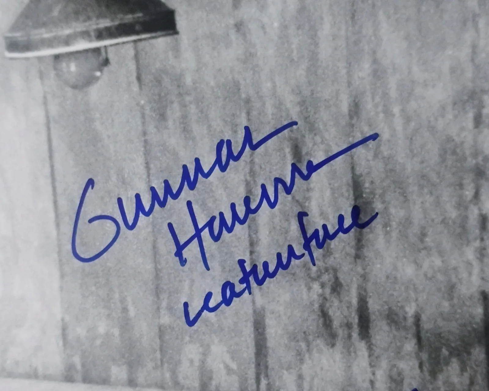 Texas Chainsaw Massacre 3x Signed Photo JSA COA Gunnar Hansen, Terri McMinn, изображение 4