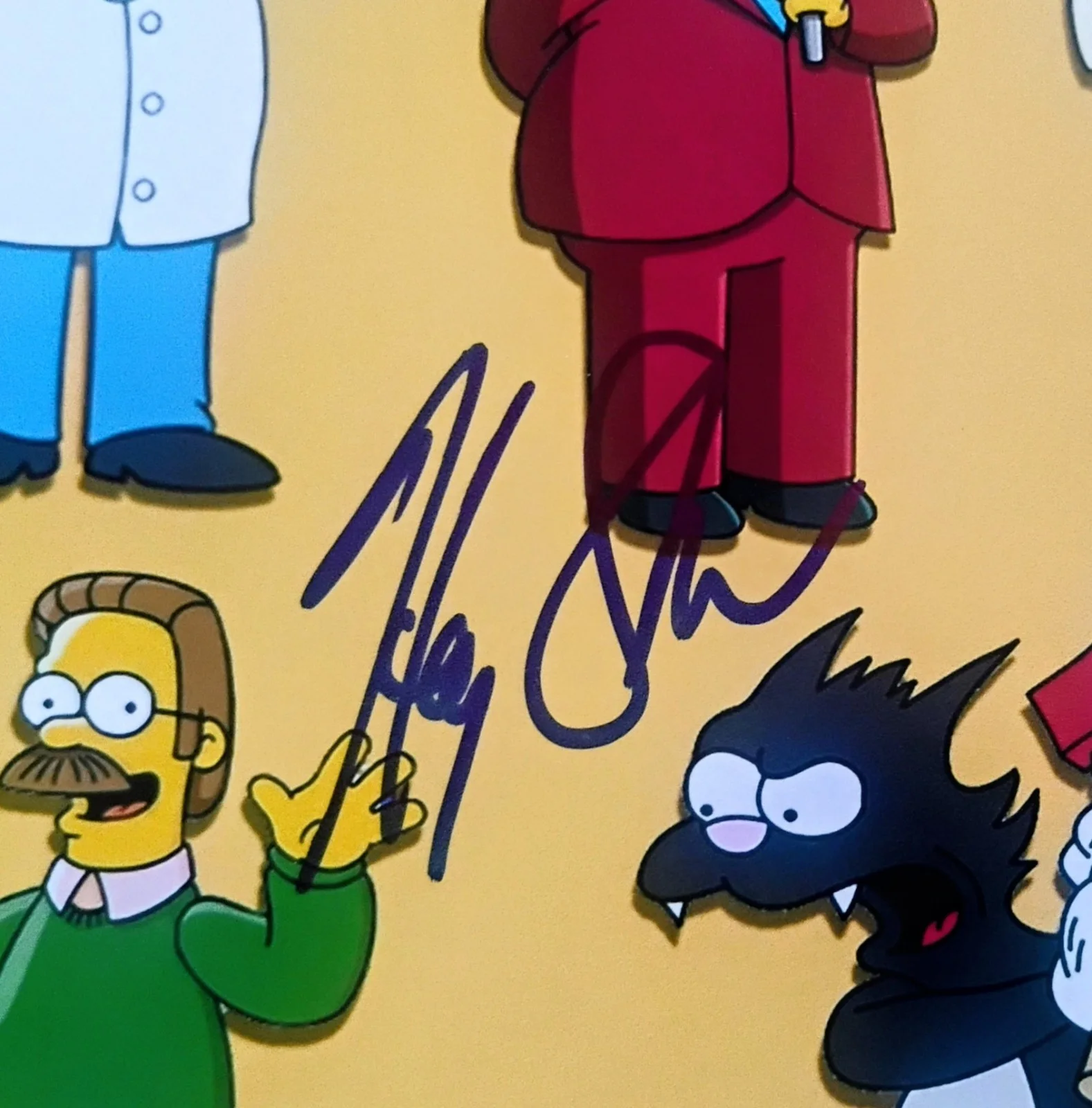 Harry Shearer Hand Signed 11x14 Photo JSA COA Simpsons NO US TARIFFS, изображение 3
