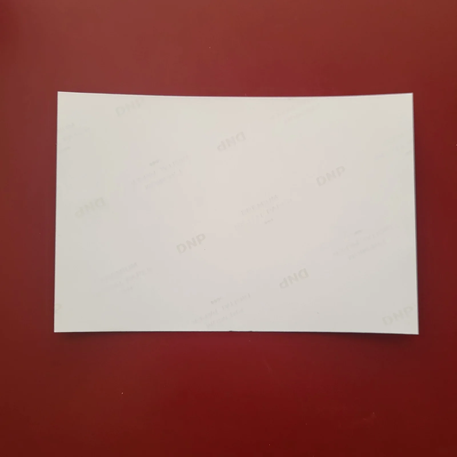 David Sage — David Sage Seinfeld Hand Signed 4x6 Autograph L, image 3