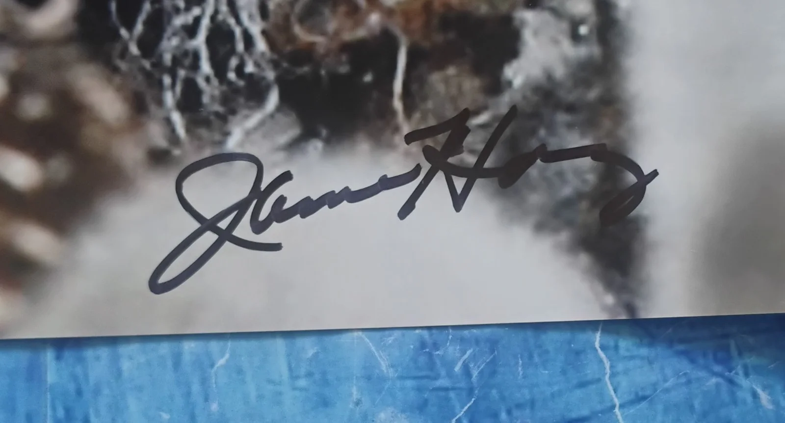 James Hong Hand Signed 8x10 Photo Fan Expo COA Blade Runner NO US TARIFFS, image 3
