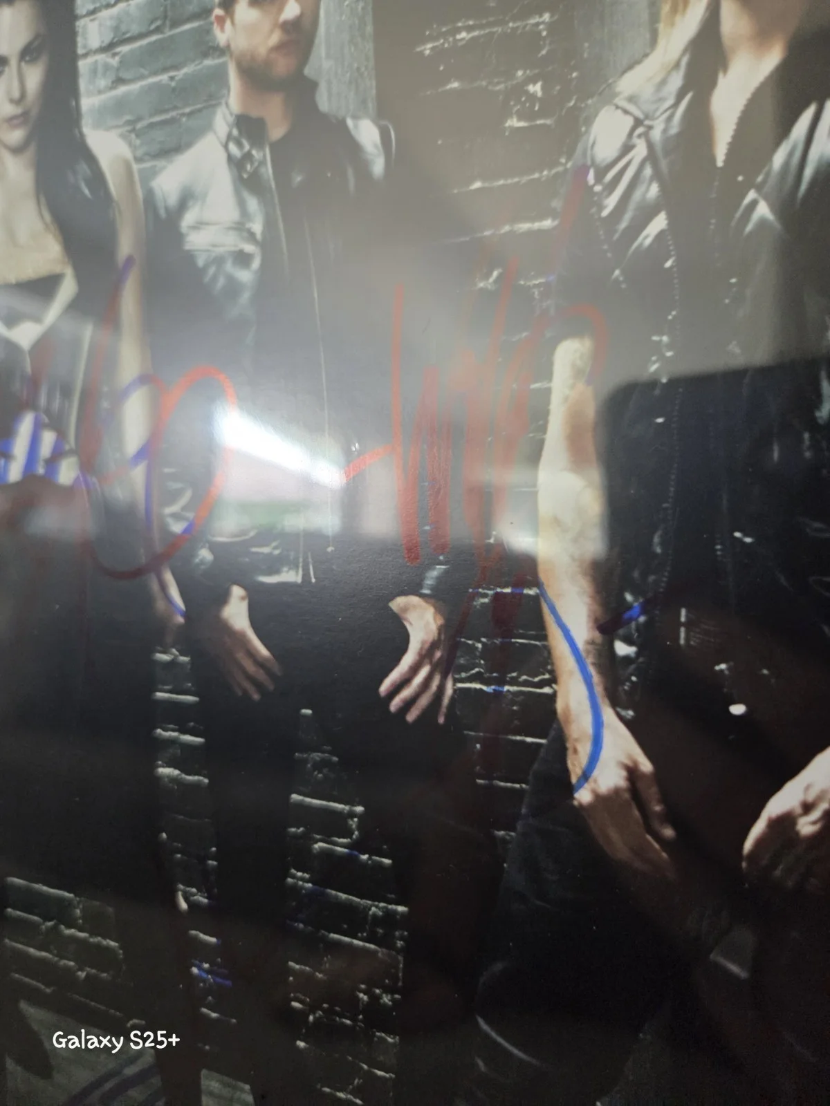 Evanescence Signed Autographed 11x17 Concert Poster Signed X5 Chevelle, image 5