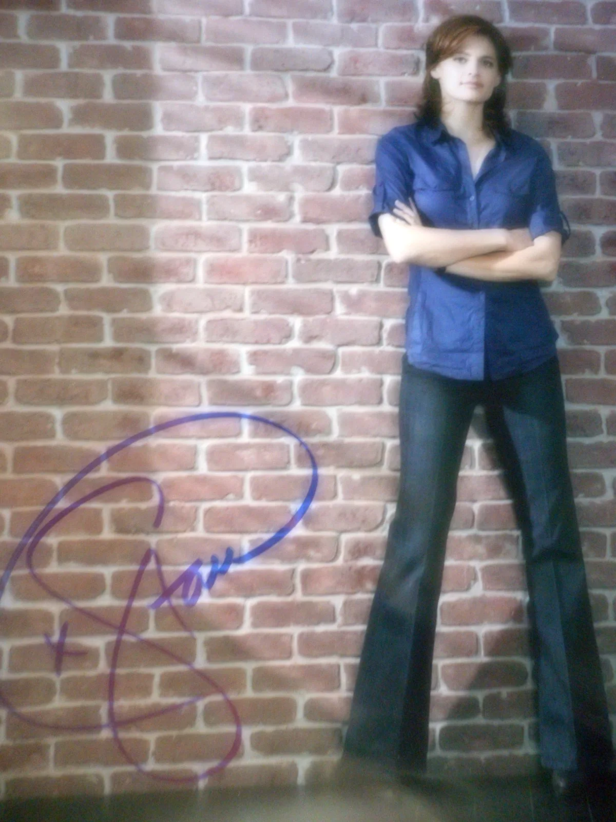 Stana Katic — Stana Katic signed CASTLE Beckett Pretty 8x10 Photo Coa & #d Holograms