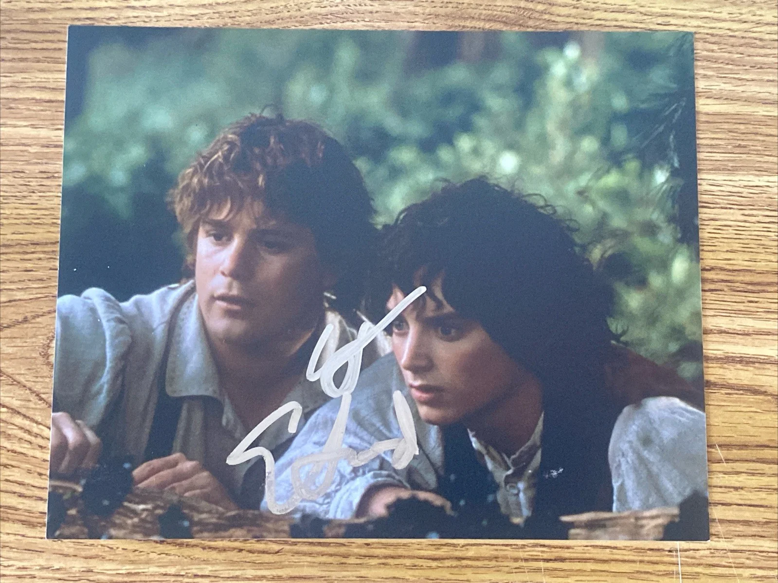 Elijah Wood & Sean Astin — Elijah Wood & Sean Astin Autographed 8x10 Photo ‘Lord Of The Rings’ Frodo & Sam
