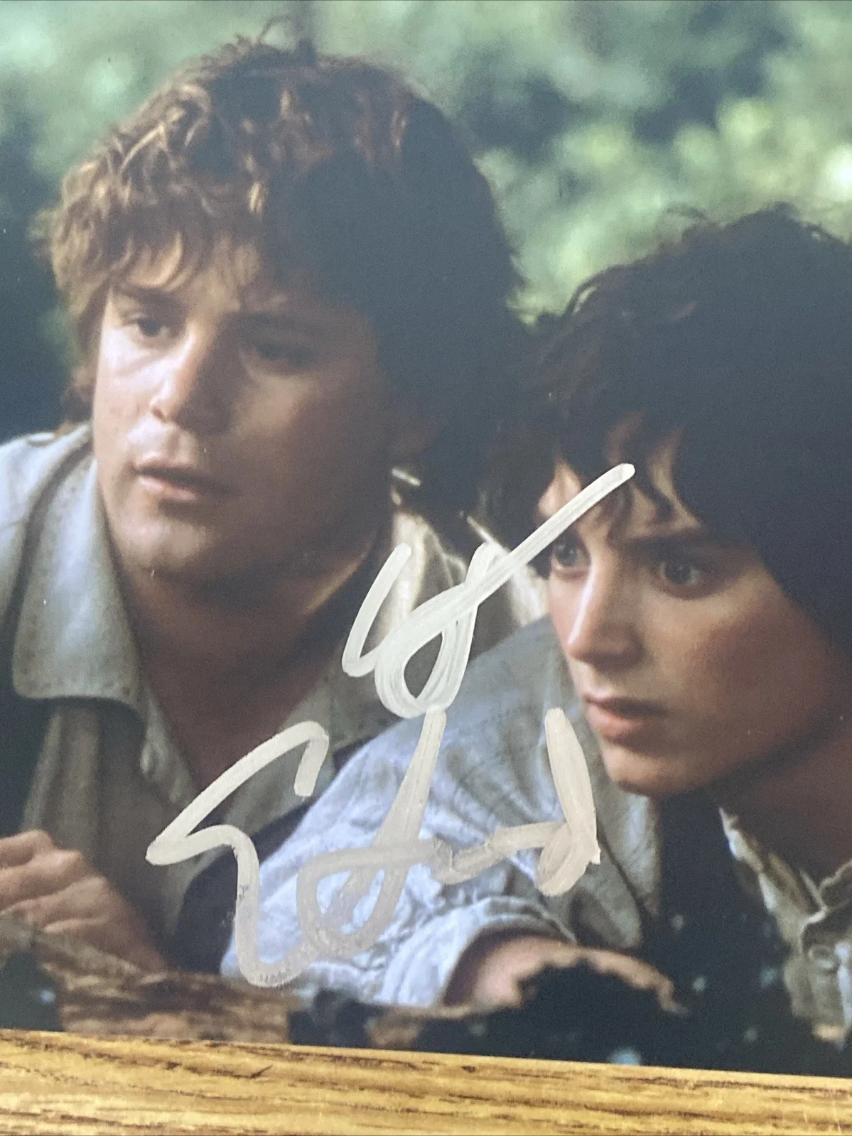 Elijah Wood, Sean Astin — Elijah Wood & Sean Astin Autographed 8x10 Photo ‘Lord Of The Rings’ Frodo & Sam, изображение 2