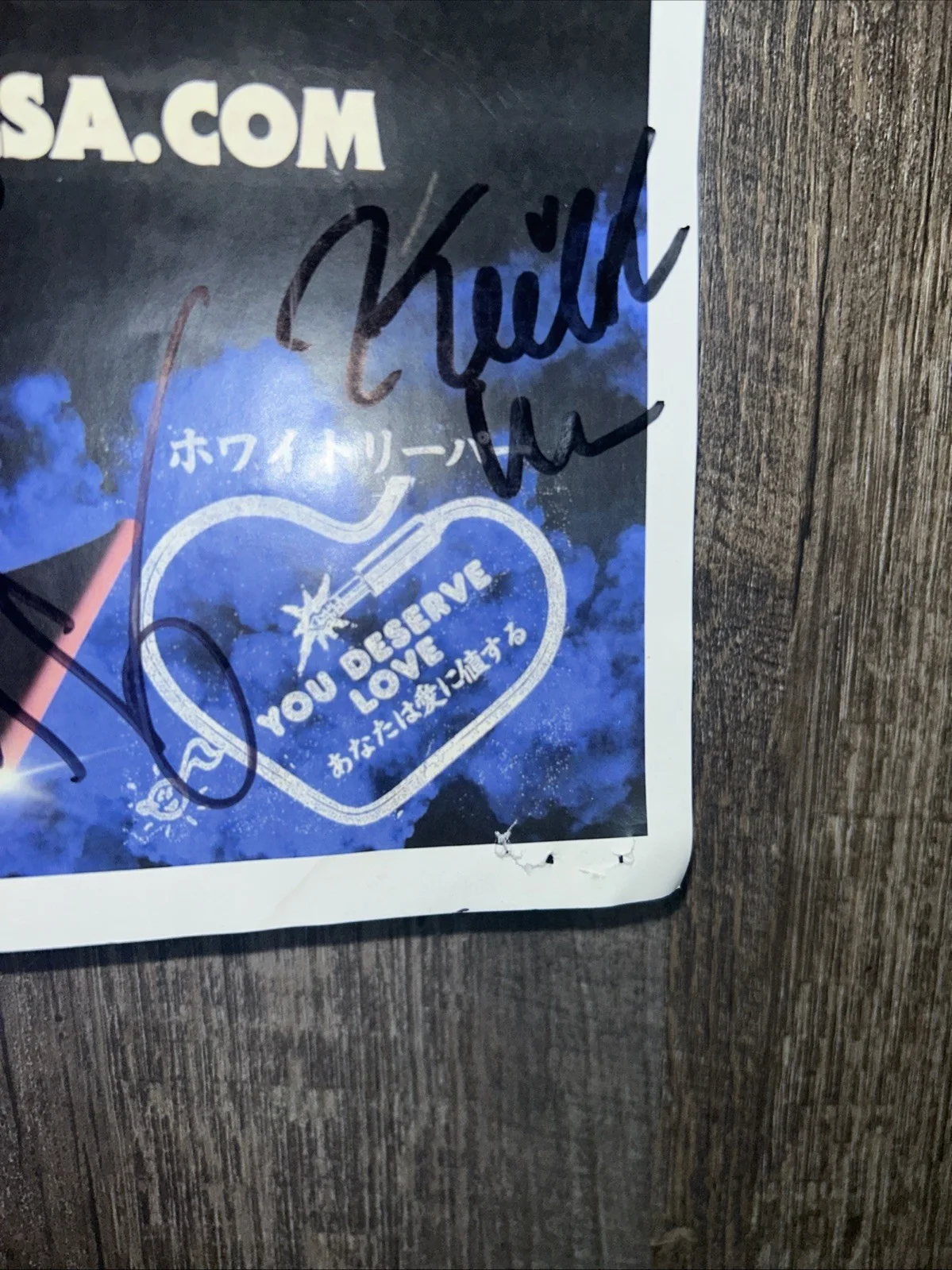 White Reaper 2020 Autographed Tour Poster, image 3