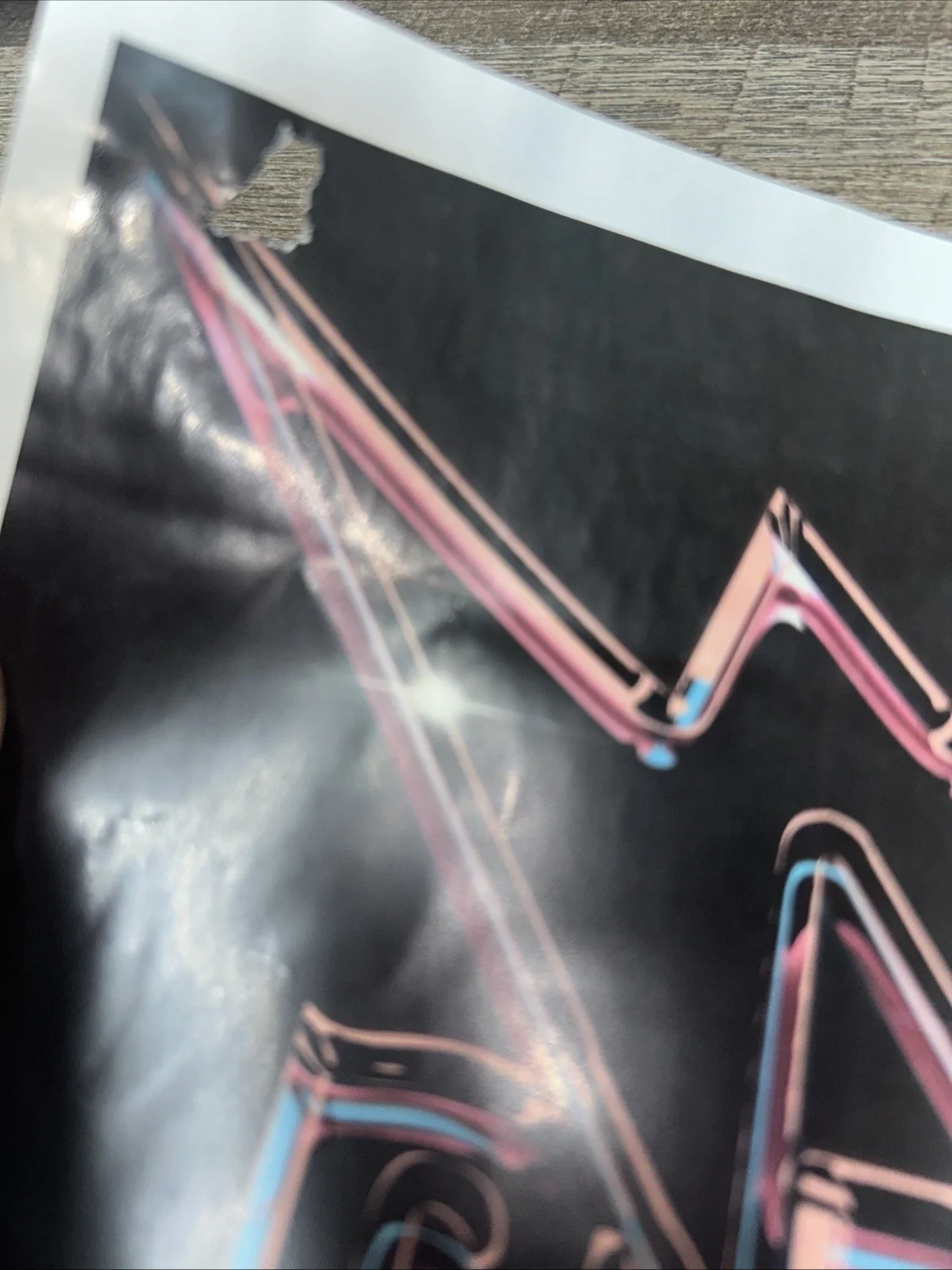 White Reaper 2020 Autographed Tour Poster, image 5