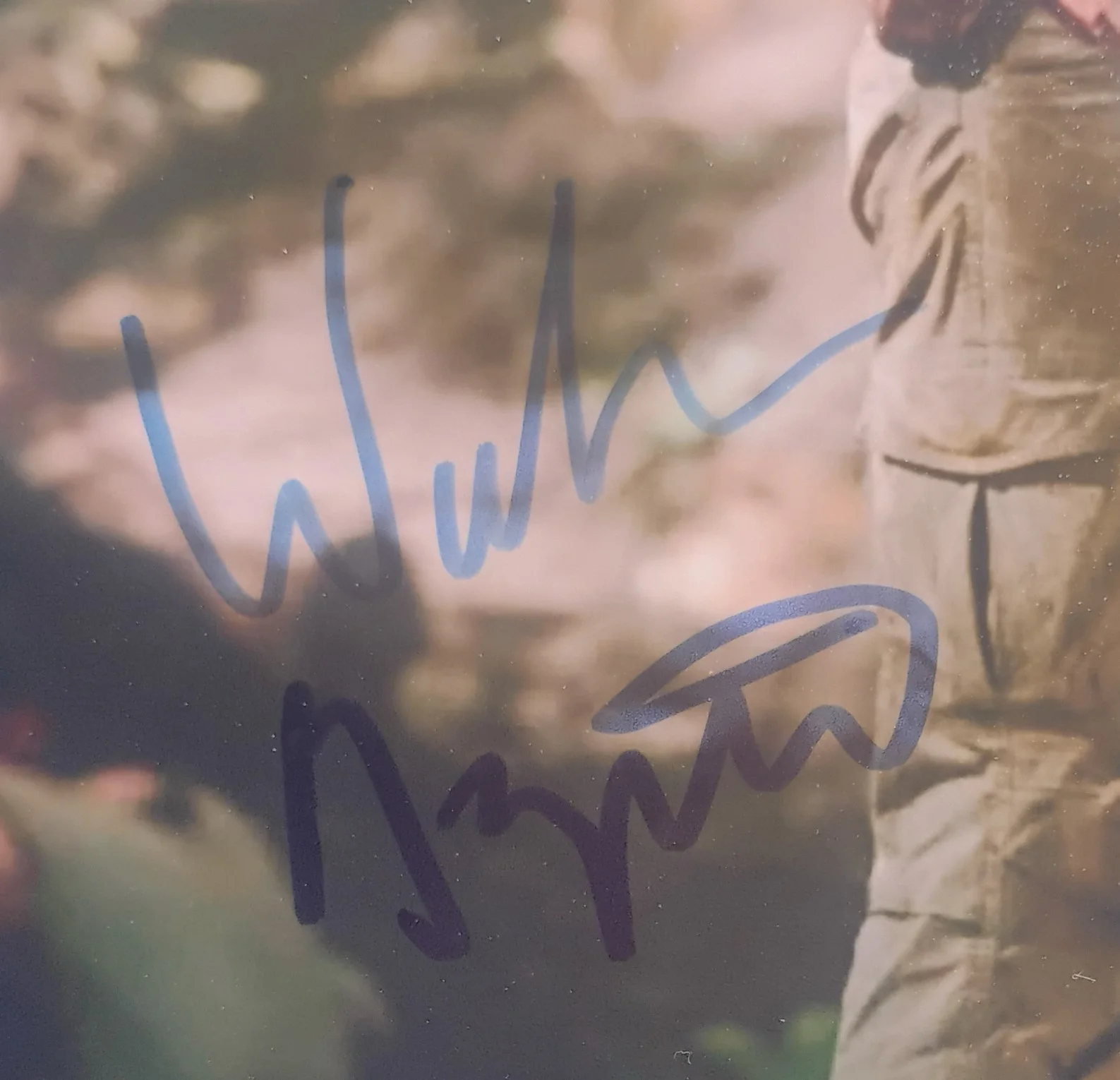 Walton Goggins Hand Signed Autograph 8x10 Photo COA - NO US TARIFFS, image 3