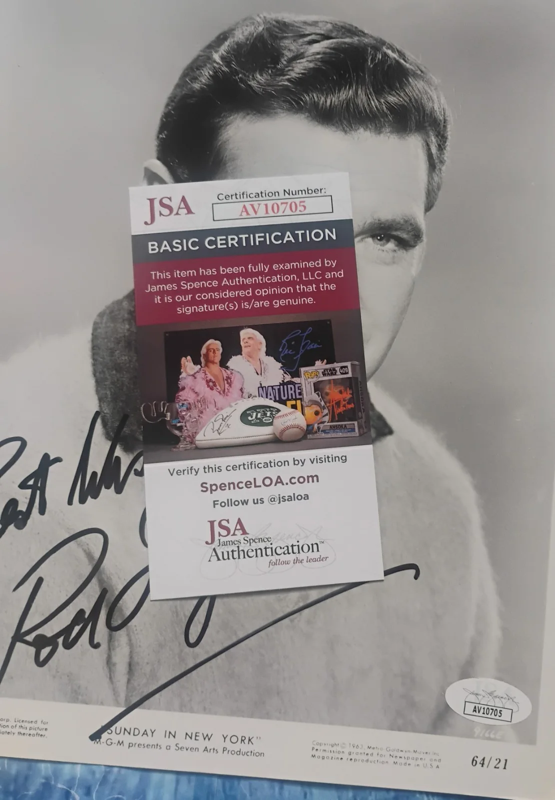 Rod Taylor Hand Signed Autograph 8x10 Photo JSA COA The Birds NO US TARIFFS, изображение 4