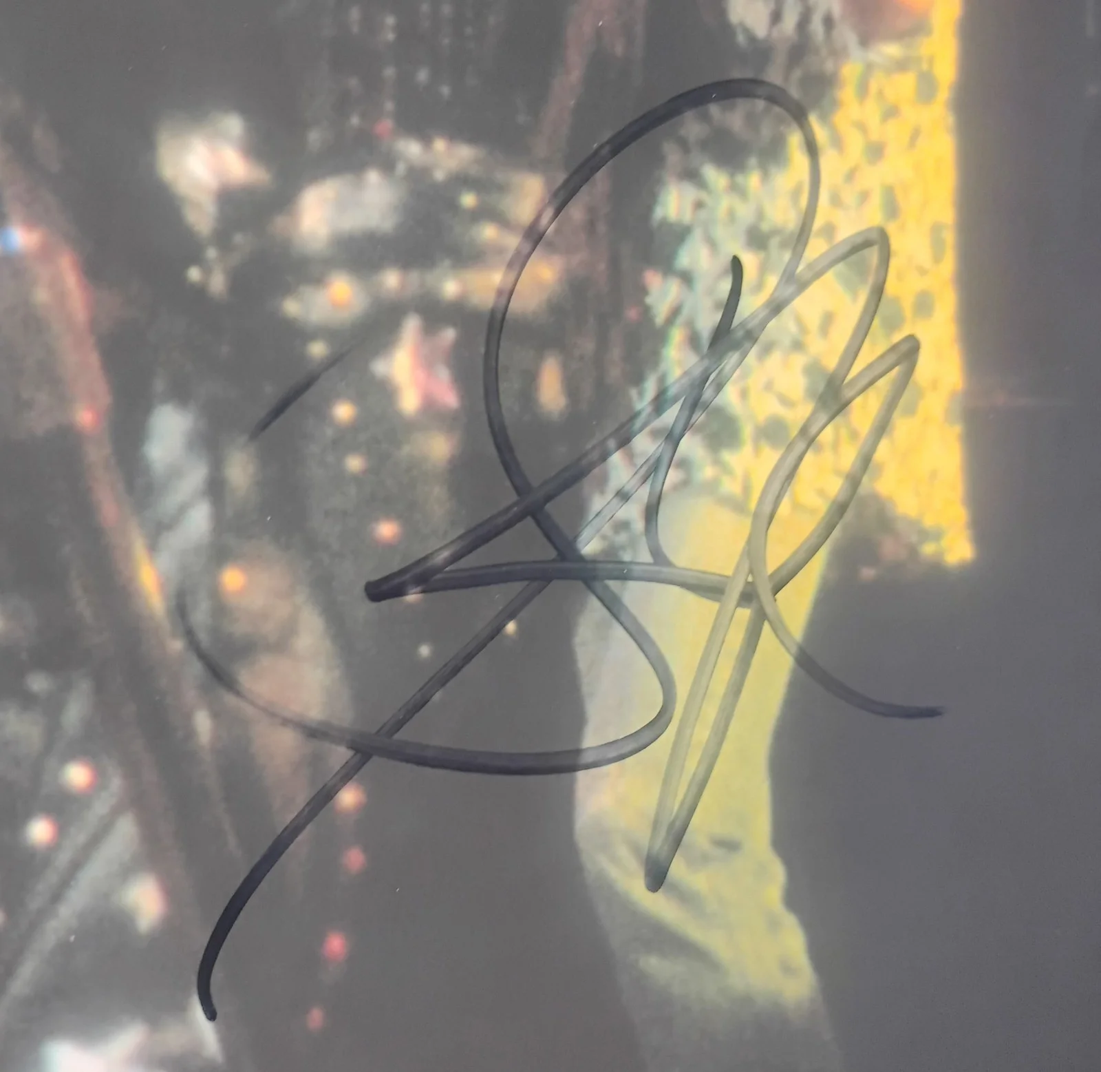 Steven Tyler Hand Signed Autograph 11x14 Photo PSA COA Aerosmith NO US TARIFF, изображение 3